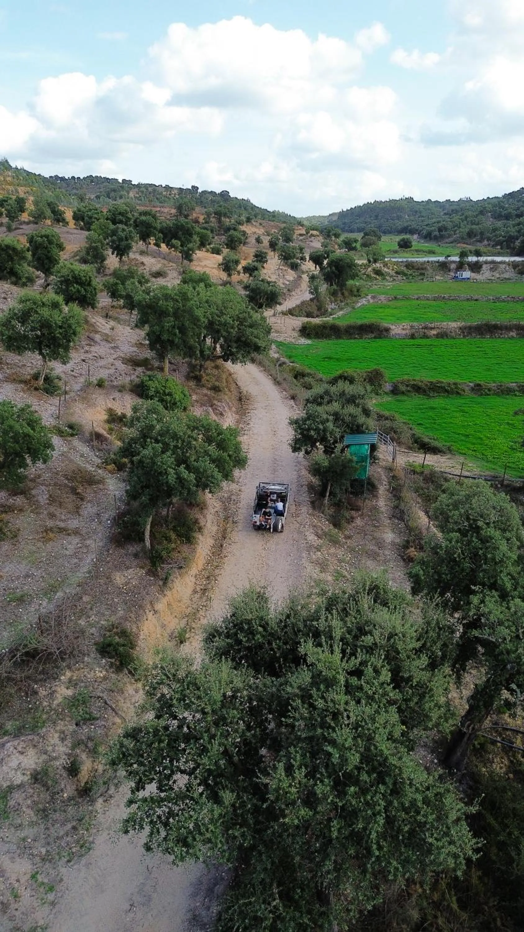View (from property/room) in Herdade dos Cordeiros