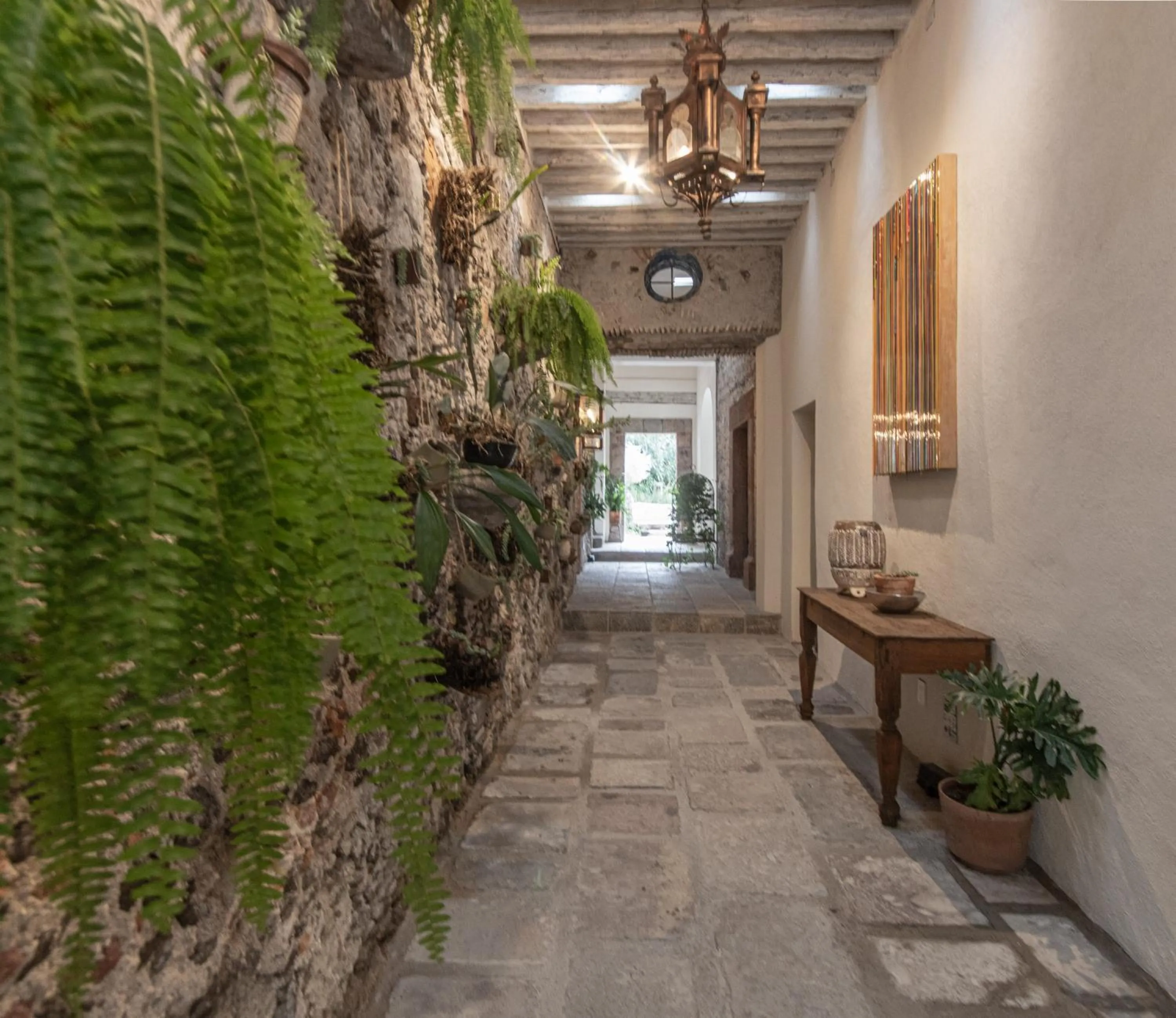 Garden in Orchid House San Miguel de Allende