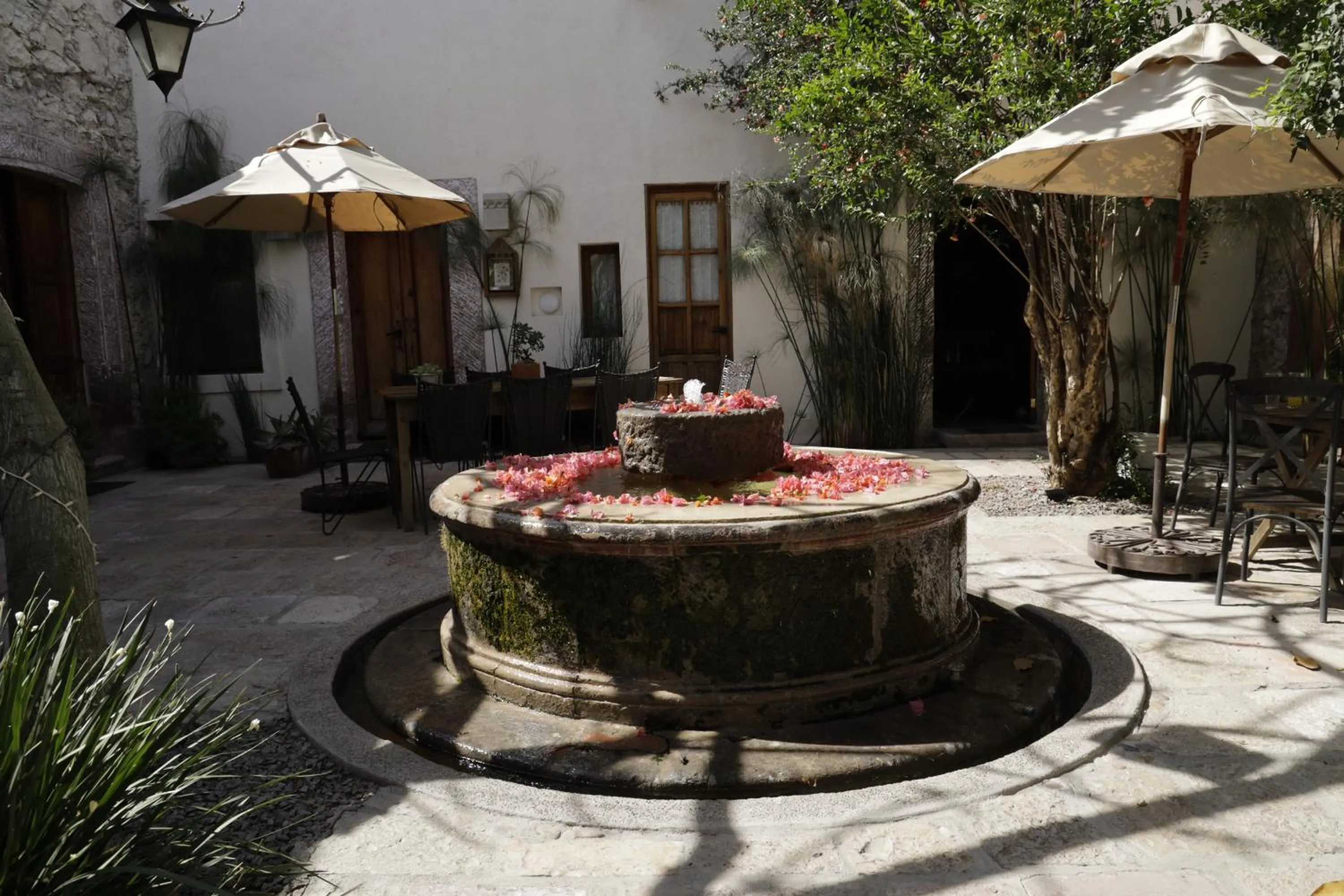 Patio in Orchid House San Miguel de Allende