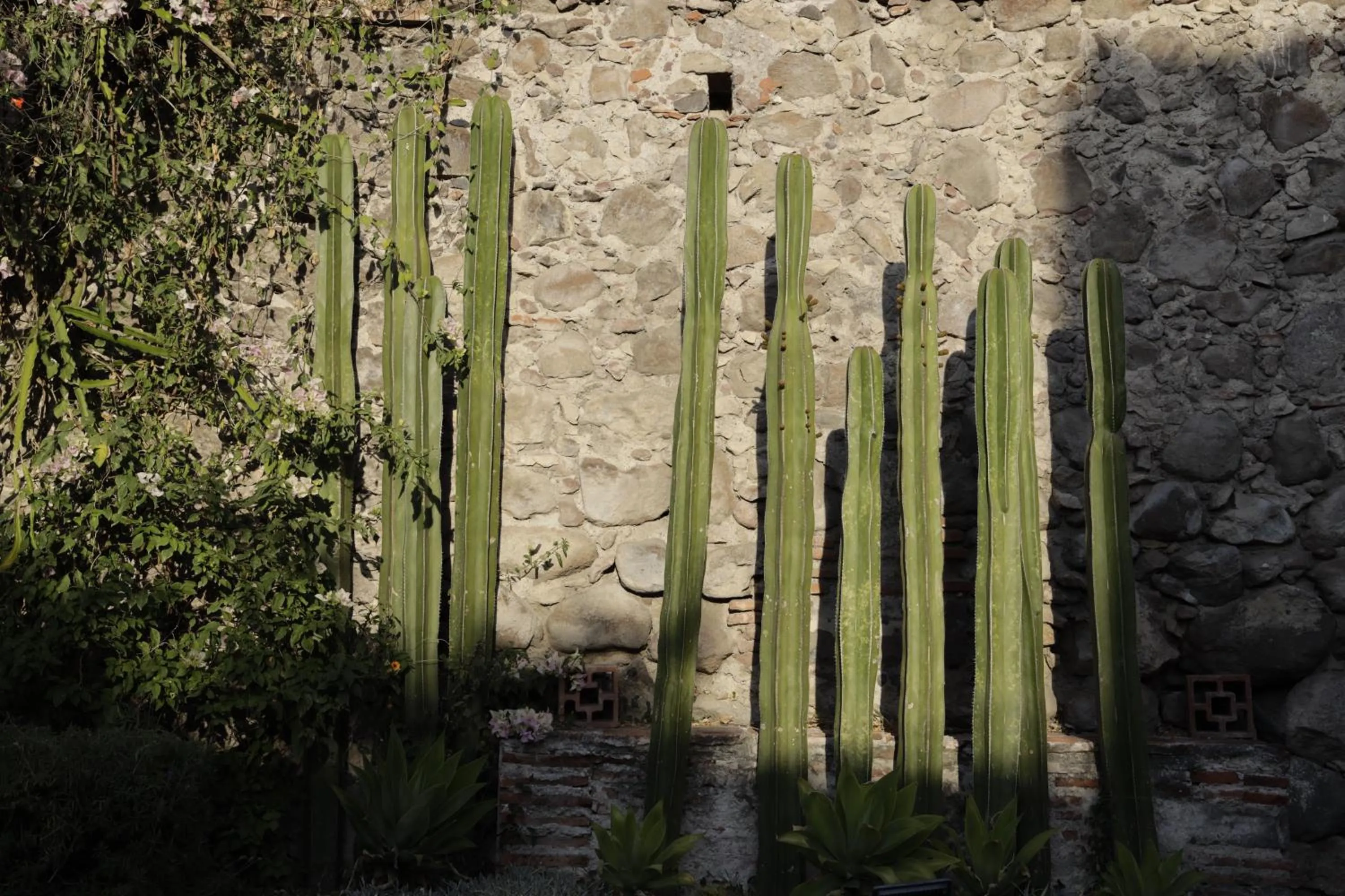 Garden view in Orchid House San Miguel de Allende