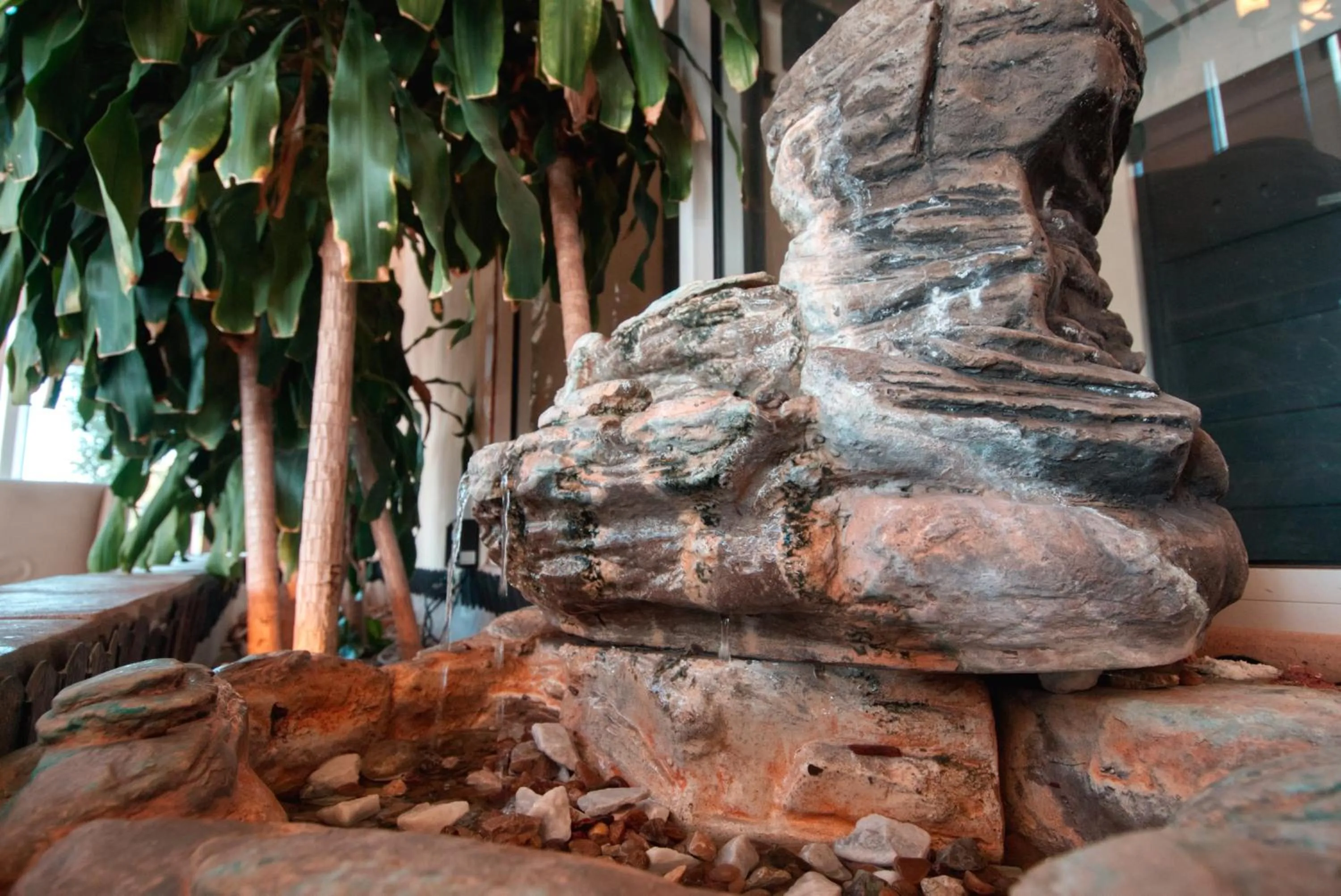 Day in Express inn & suites