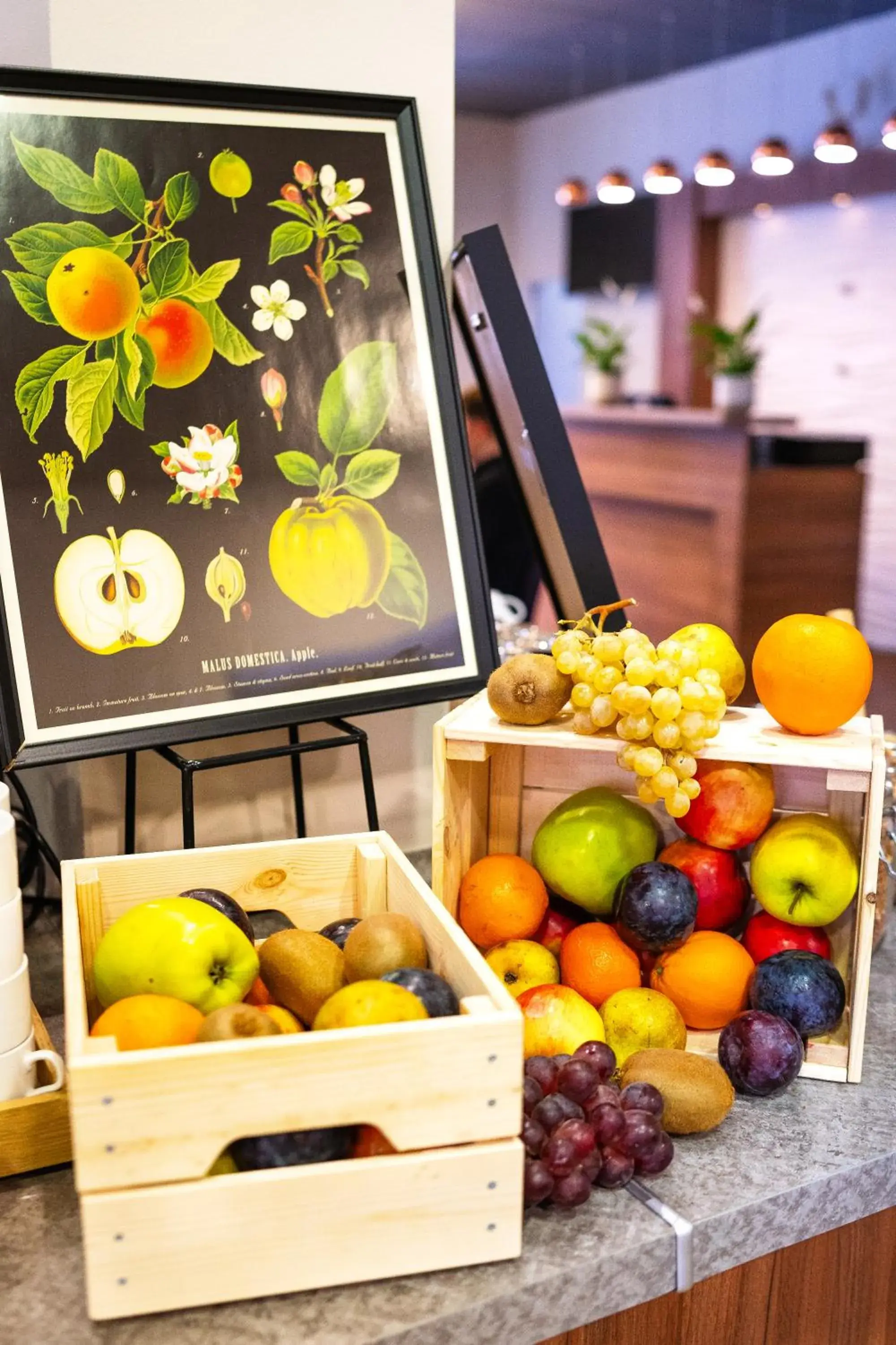 Breakfast in Hotel Regnum Residence Breakfast in Hotel Regnum Residence