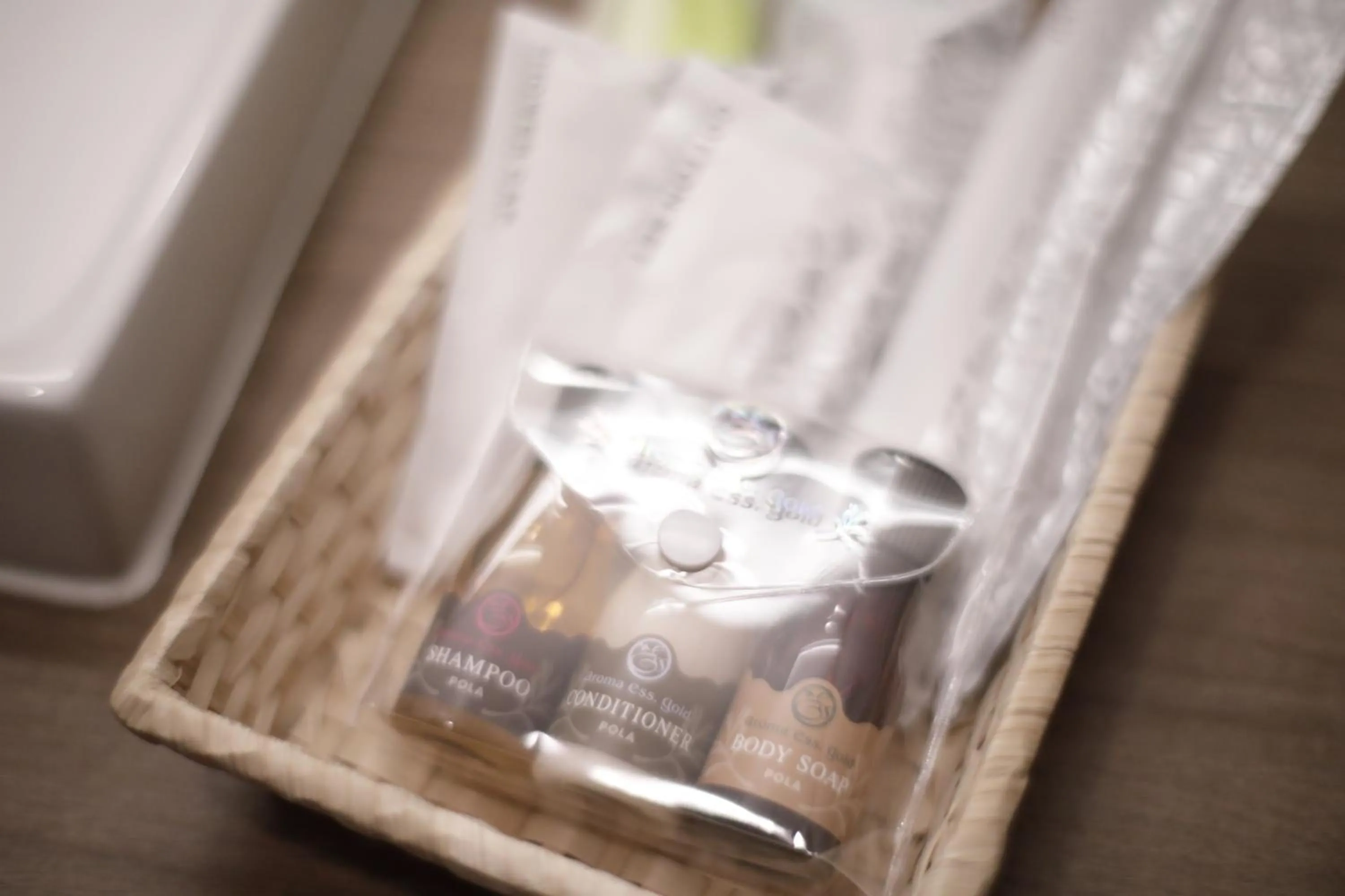 Bathroom in Sakahijiri gyokushoen