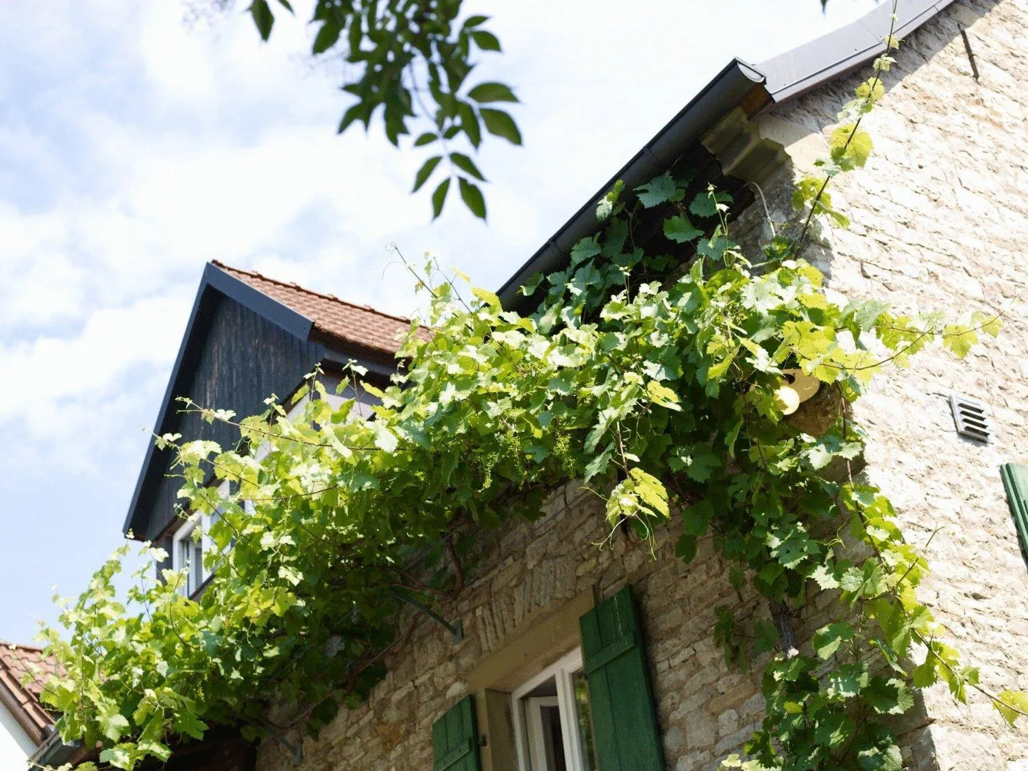 Property building in Vinotel Augustin