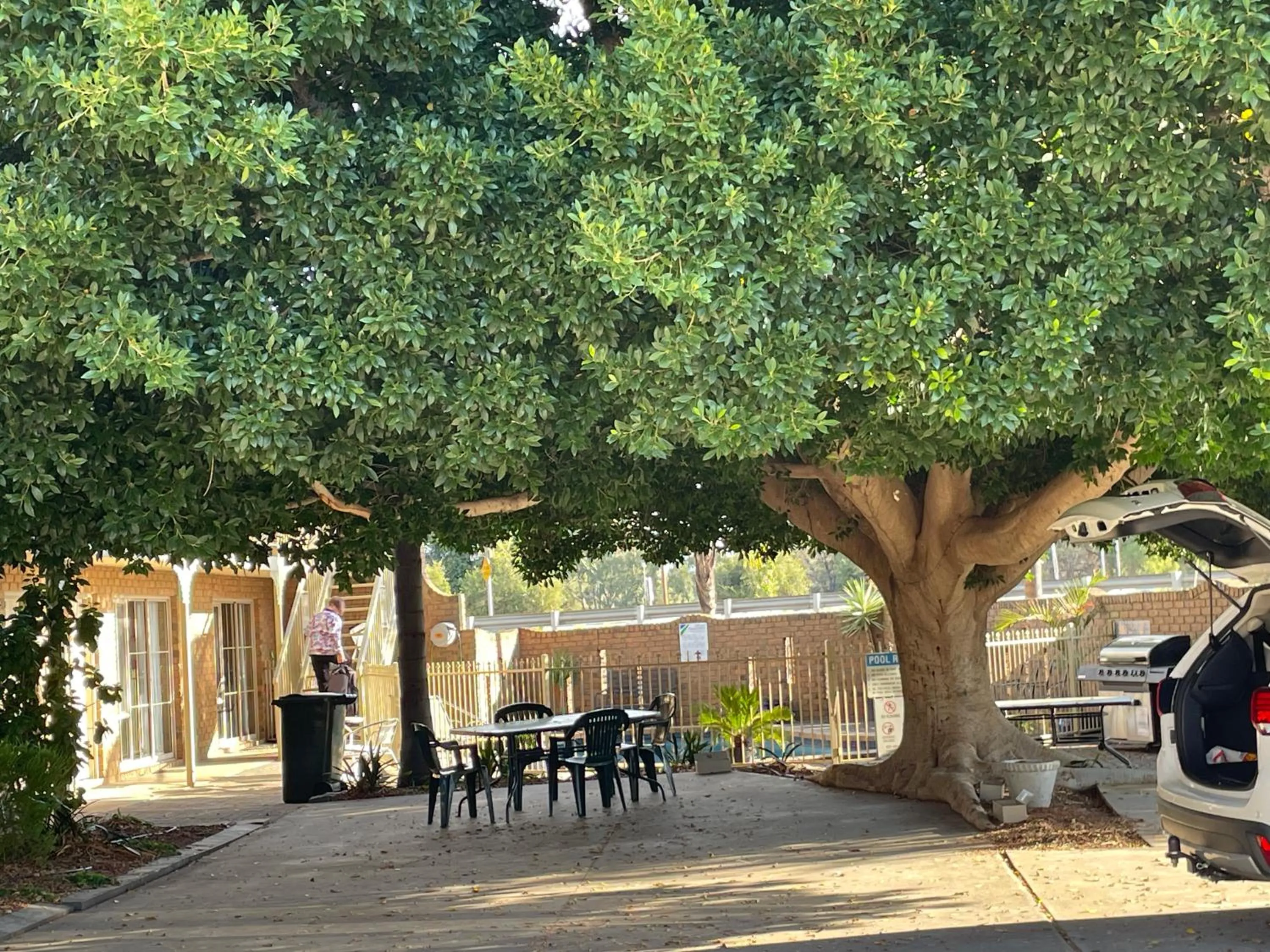 Garden in Darling Junction Motor Inn