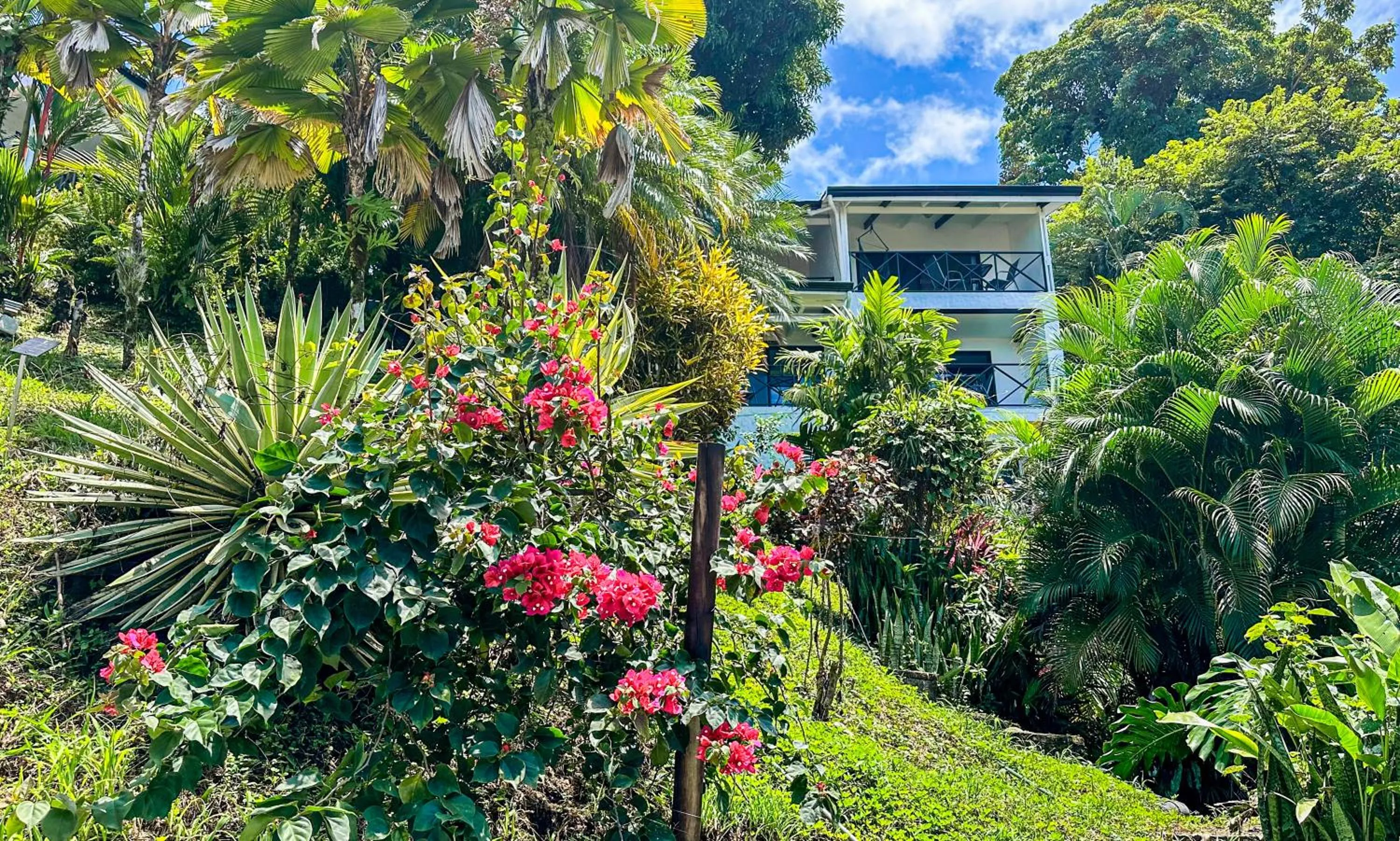 Garden in Villa Roca Boutique Resort & Suites - ADULT ONLY