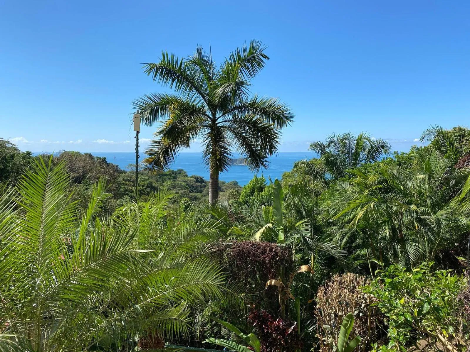 Sea view in Villa Roca Boutique Resort & Suites - ADULT ONLY