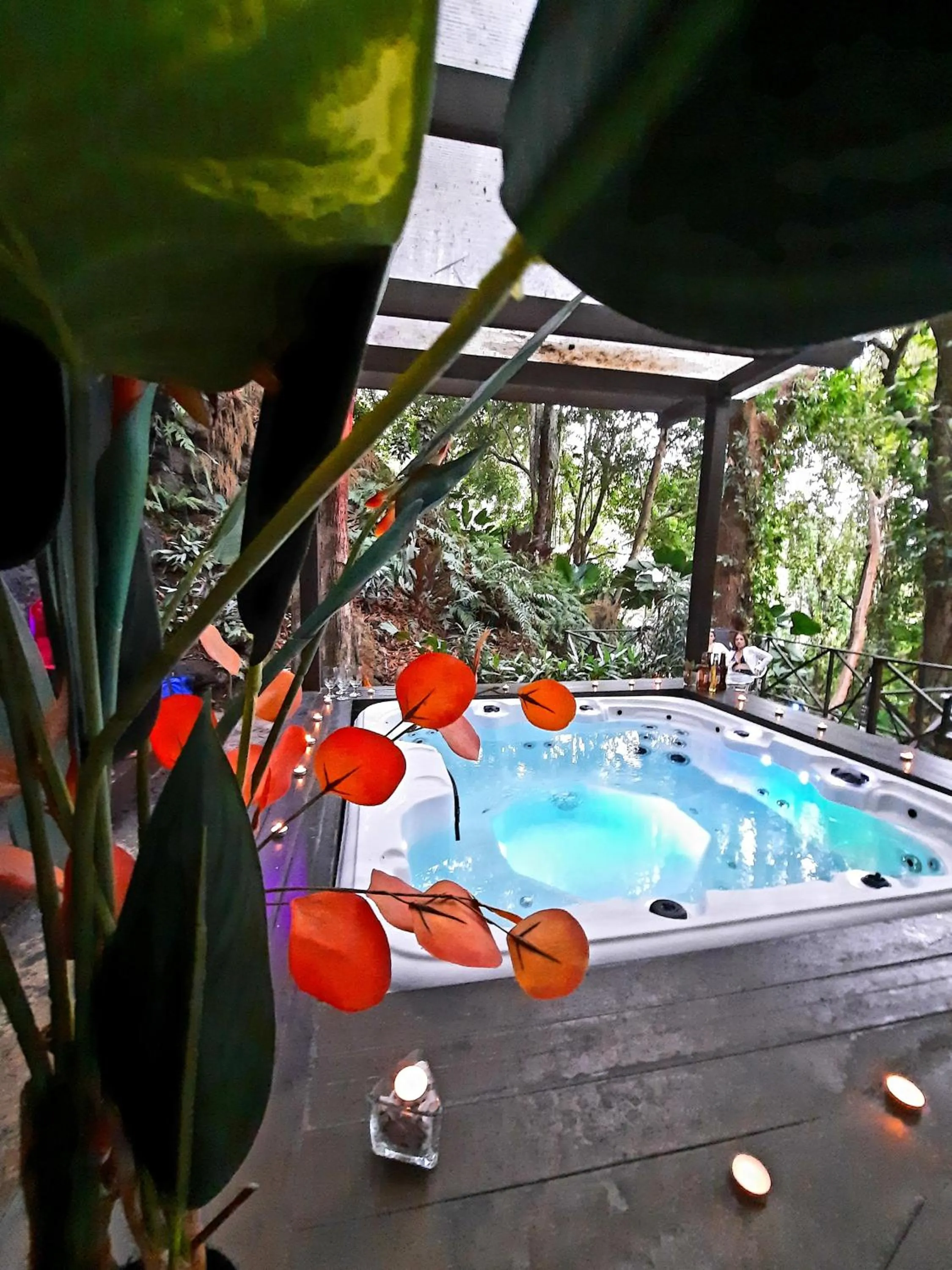 Area and facilities in Villa Roca Boutique Resort & Suites - ADULT ONLY