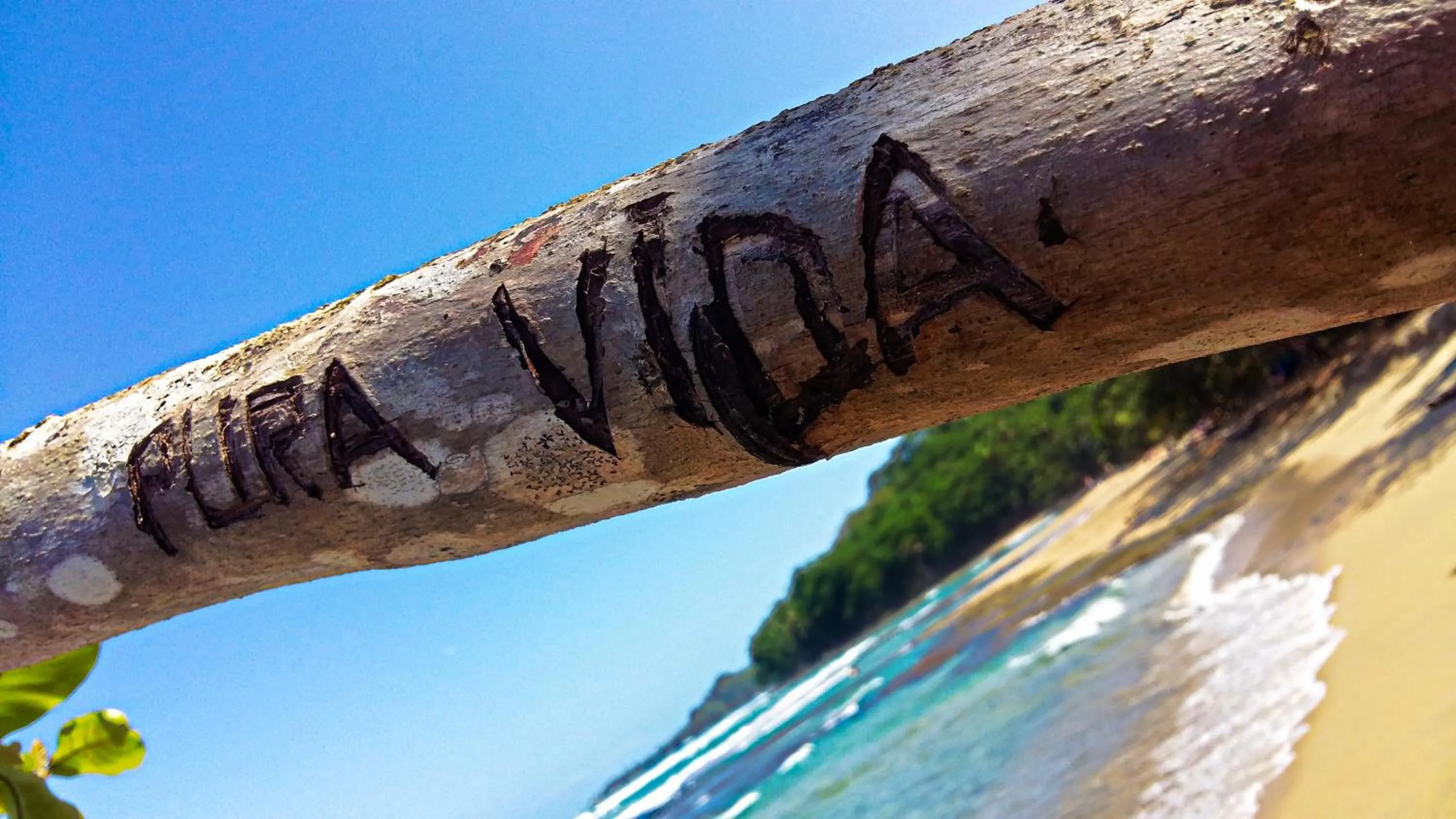 Beach in Villa Roca Boutique Resort & Suites - ADULT ONLY