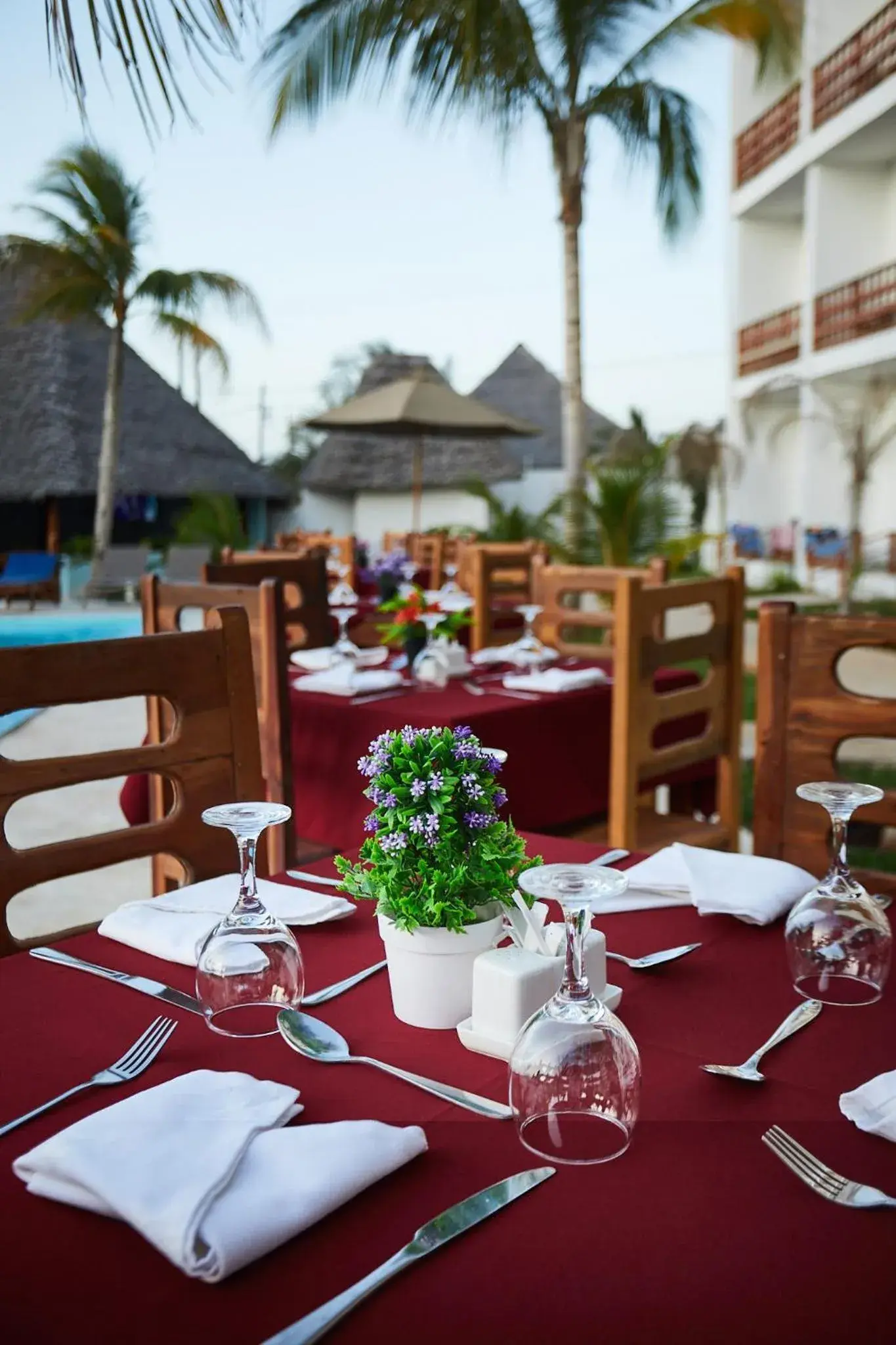 Restaurant/places to eat in Malika Nungwi Hotel Restaurant/places to eat in Malika Nungwi Hotel