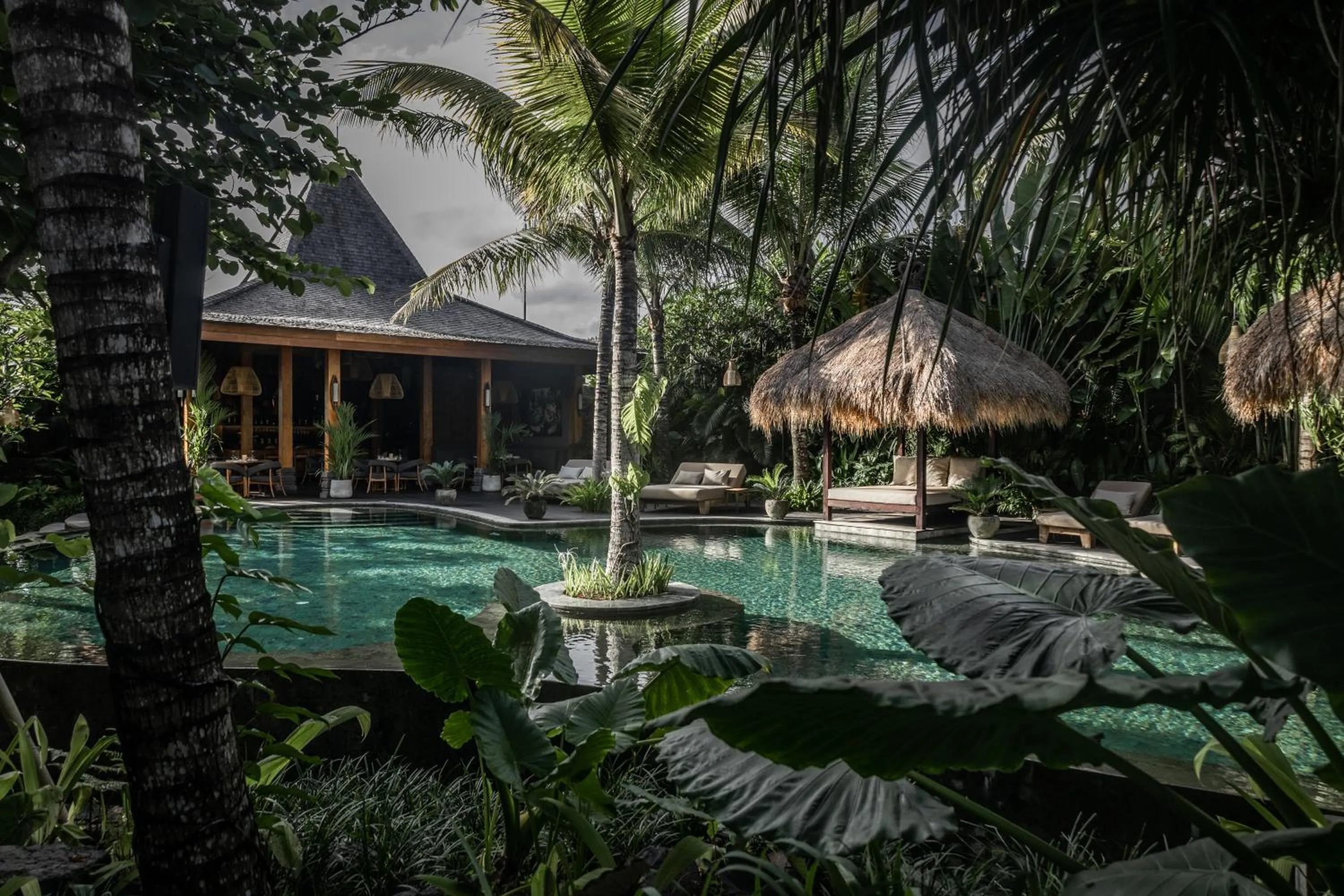 Pool view in Desa Hay Canggu