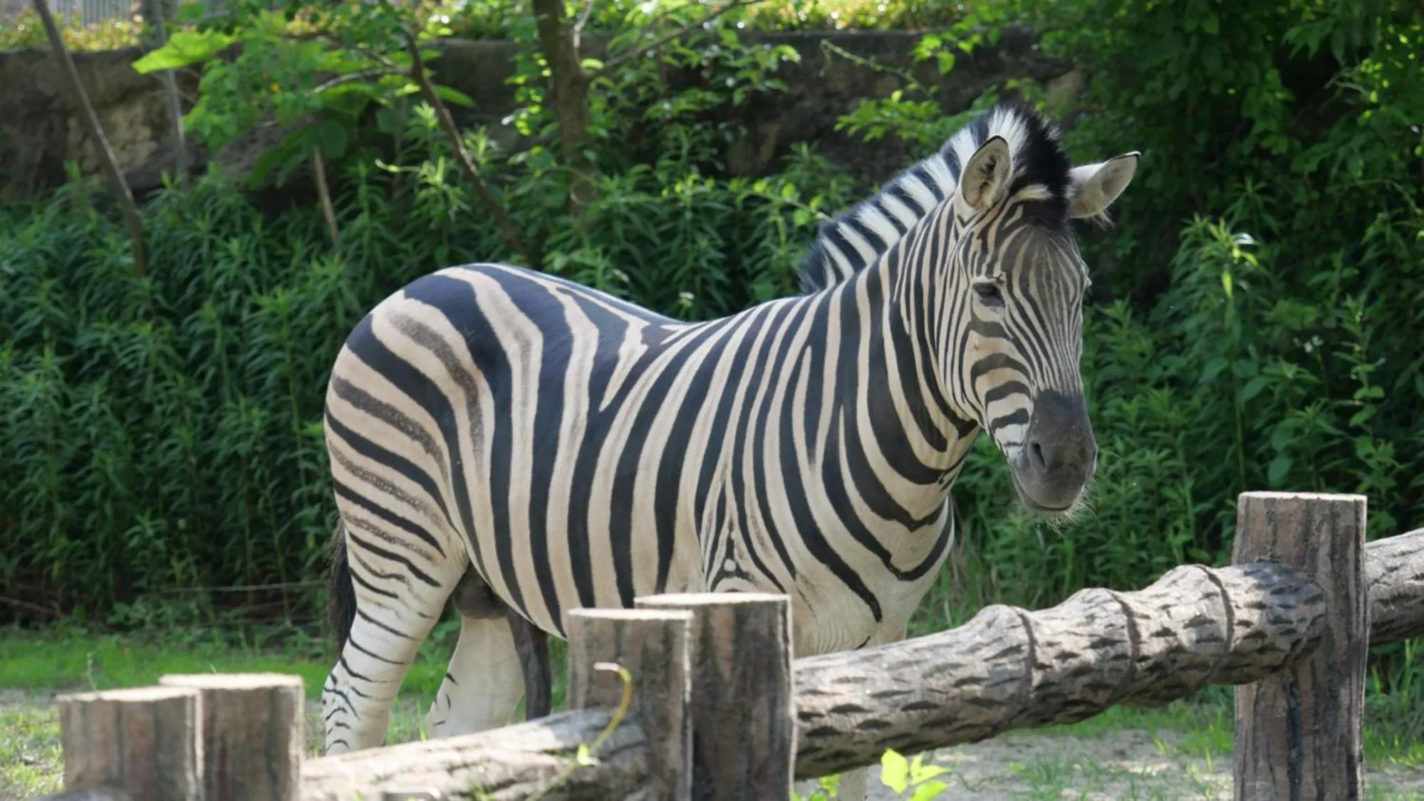 Nearby landmark in Toyoko Inn Nagoya-eki Shinkansen-guchi