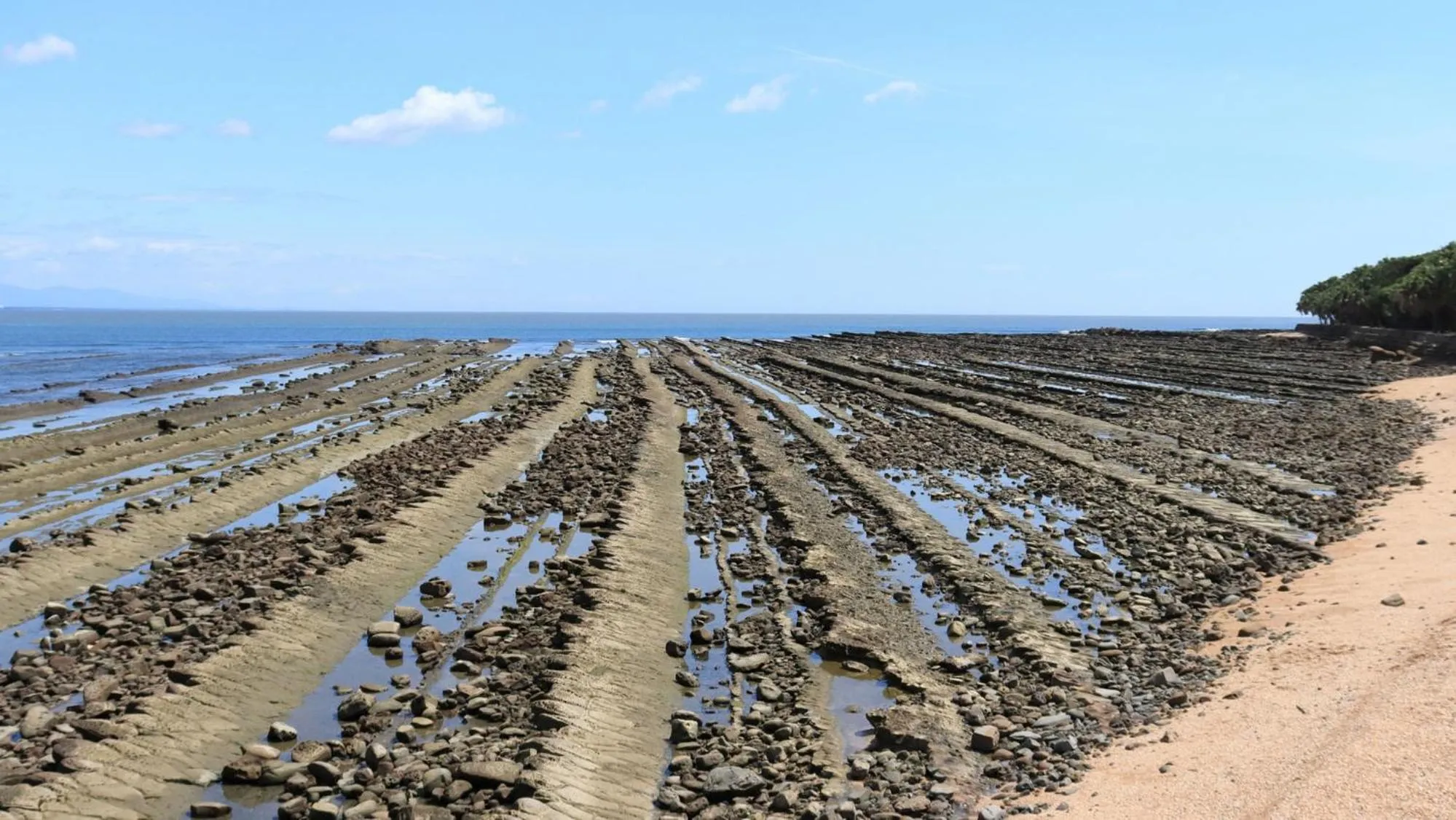Nearby landmark in Toyoko Inn Miyazaki Ekimae