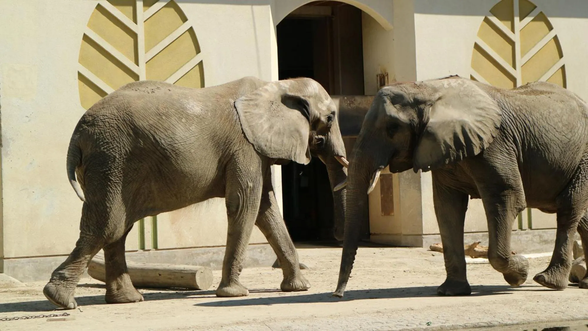 Nearby landmark in Toyoko Inn Kumamoto Shin-shigai