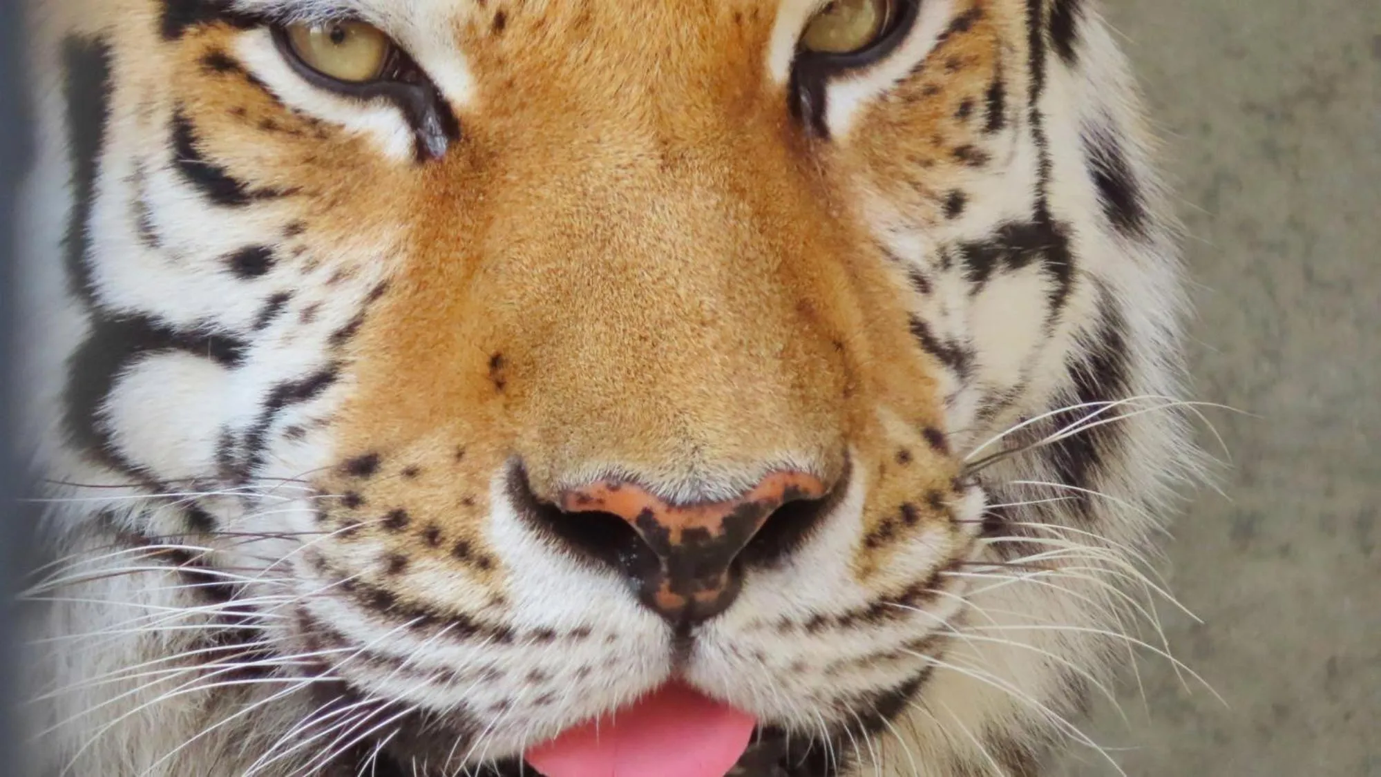 Nearby landmark in Toyoko Inn Tokuyama-eki Shinkansen-guchi