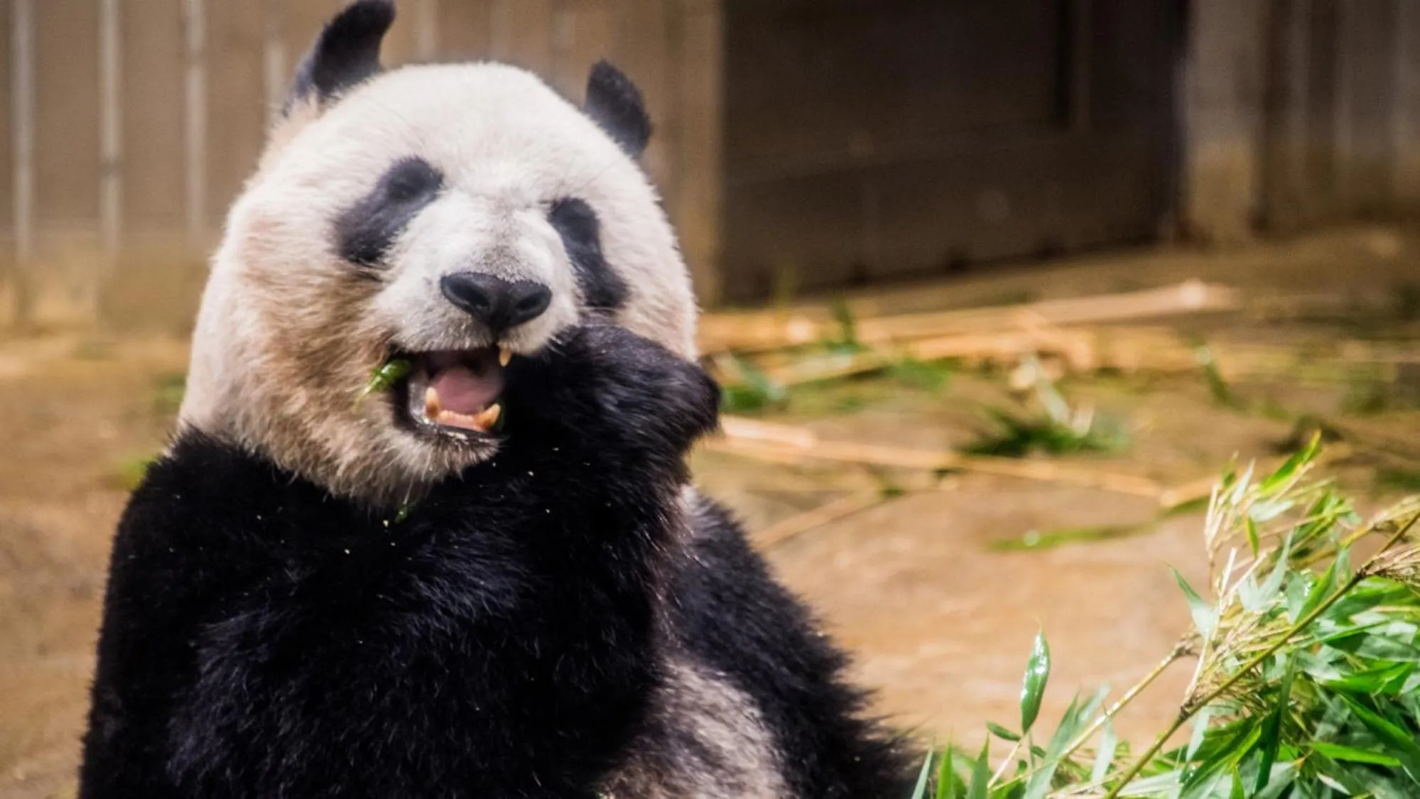 Nearby landmark in Toyoko Inn Tokyo Uguisudani Ekimae