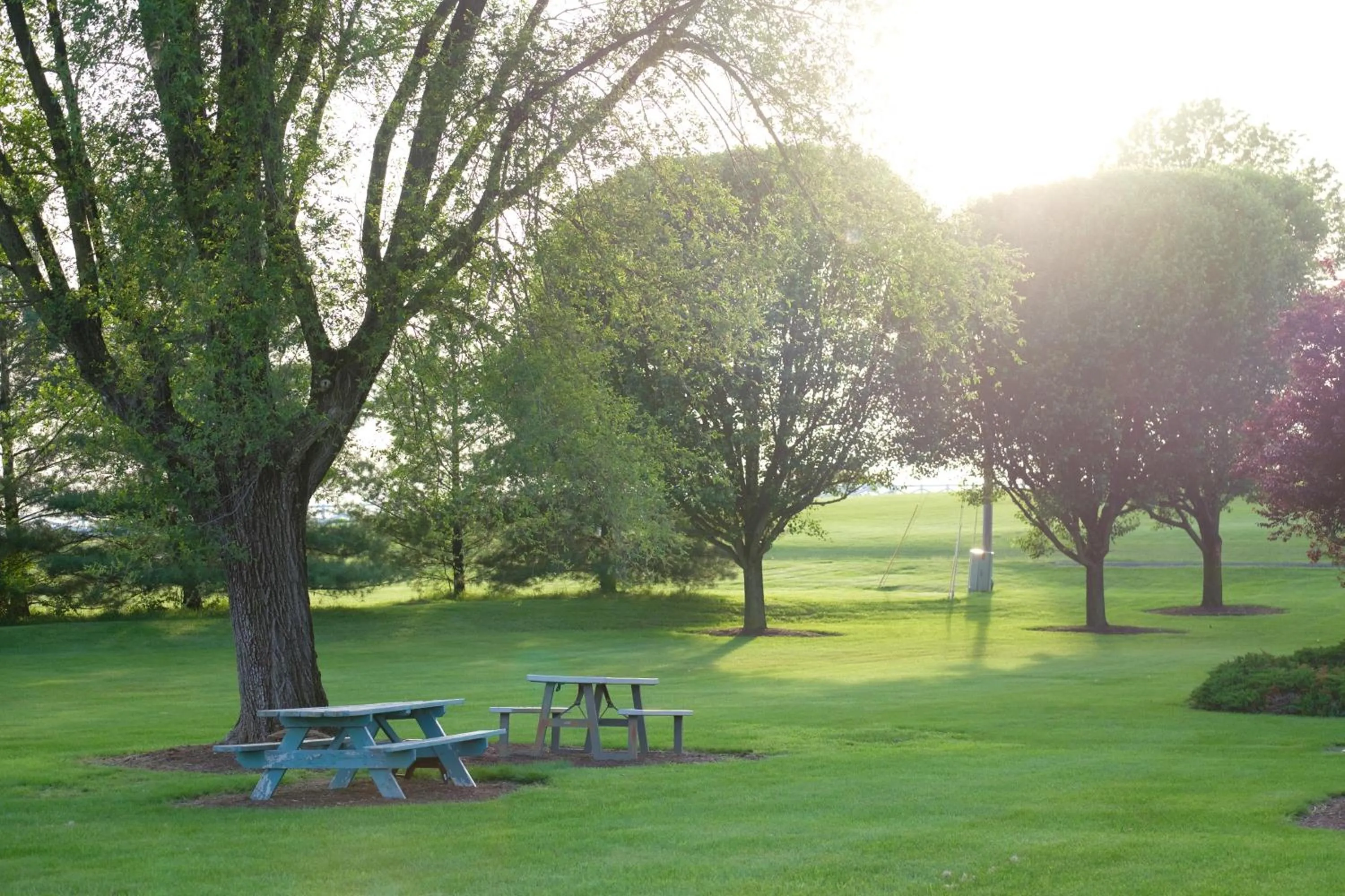 View (from property/room) in The Village Inn