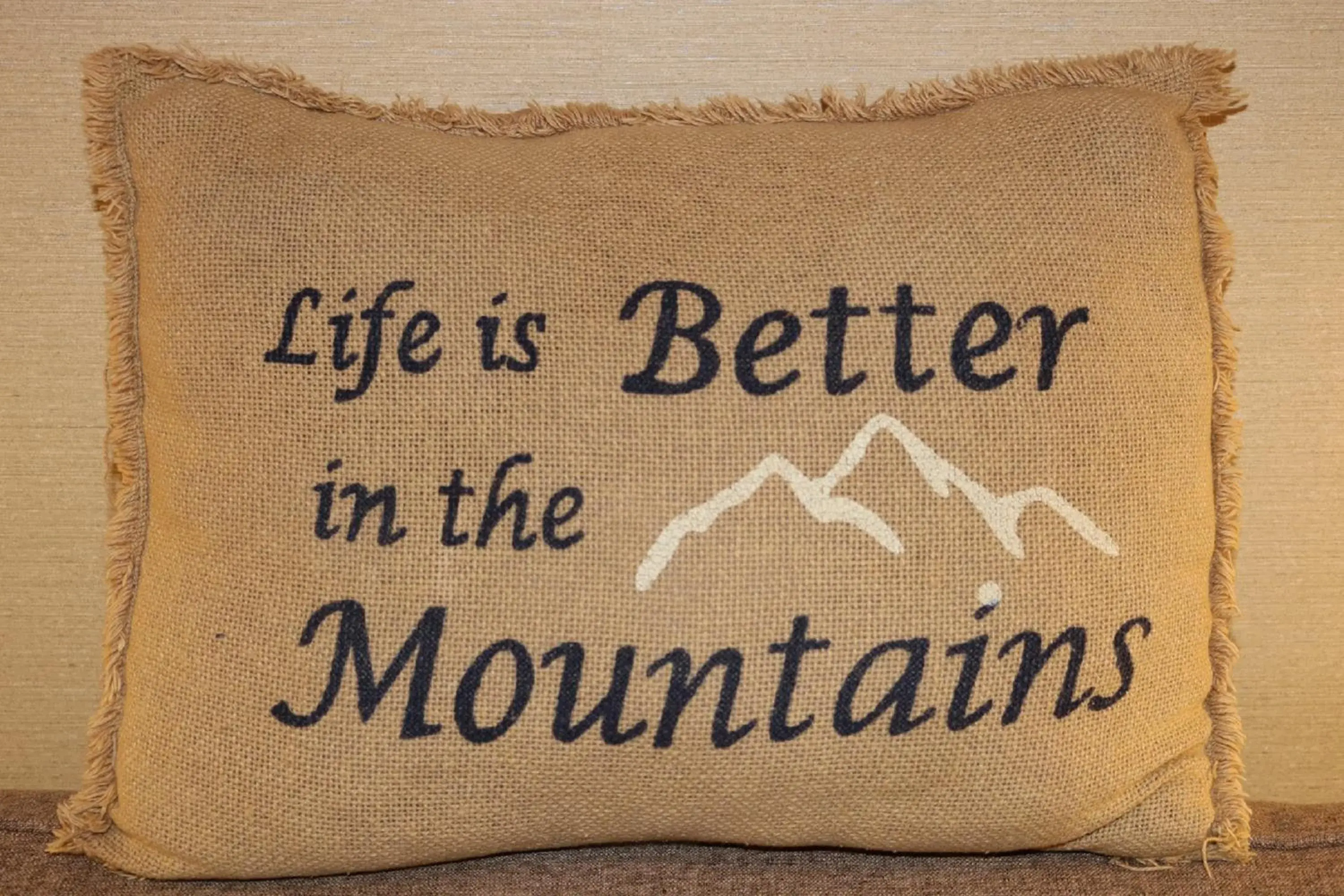 Queen Room - single occupancy in The Village Inn Queen Room - single occupancy in The Village Inn