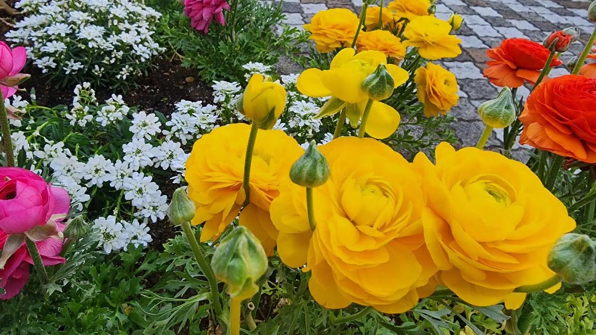 Property building in Toyoko Inn Fujisan Numazu eki Kita guchi No 2