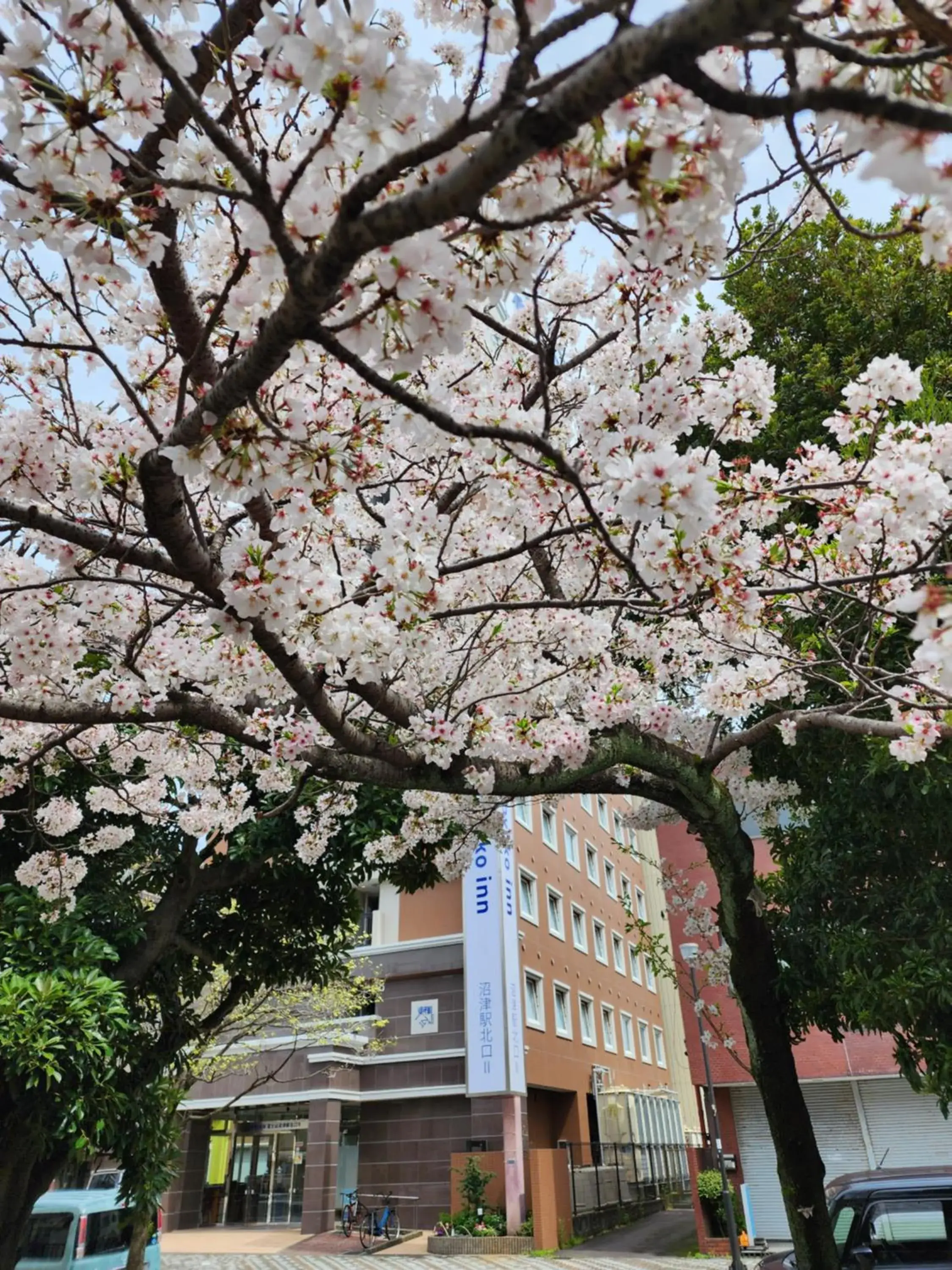 Property building in Toyoko Inn Fujisan Numazu eki Kita guchi No 2 Property building in Toyoko Inn Fujisan Numazu eki Kita guchi No 2