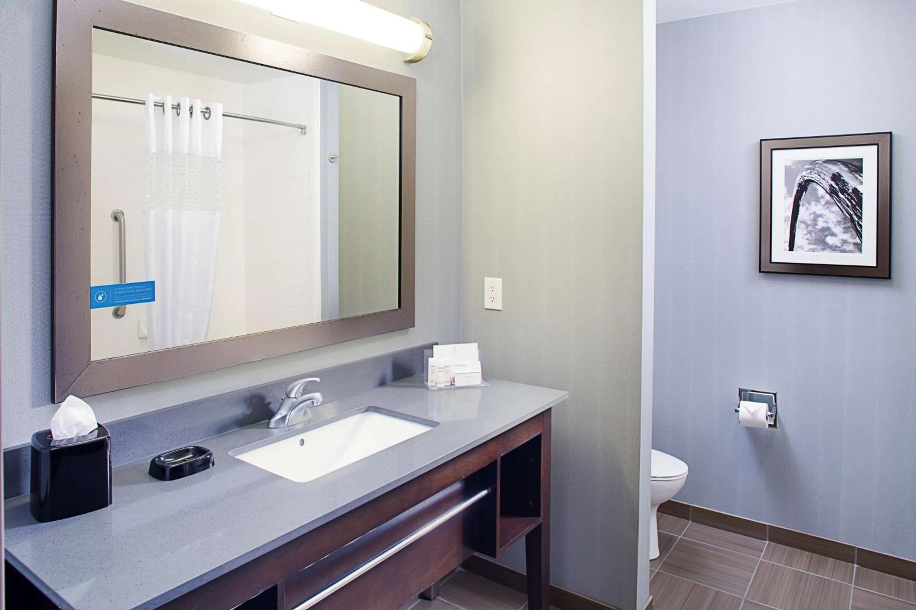 Toilet in Hampton Inn & Suites Lansing West