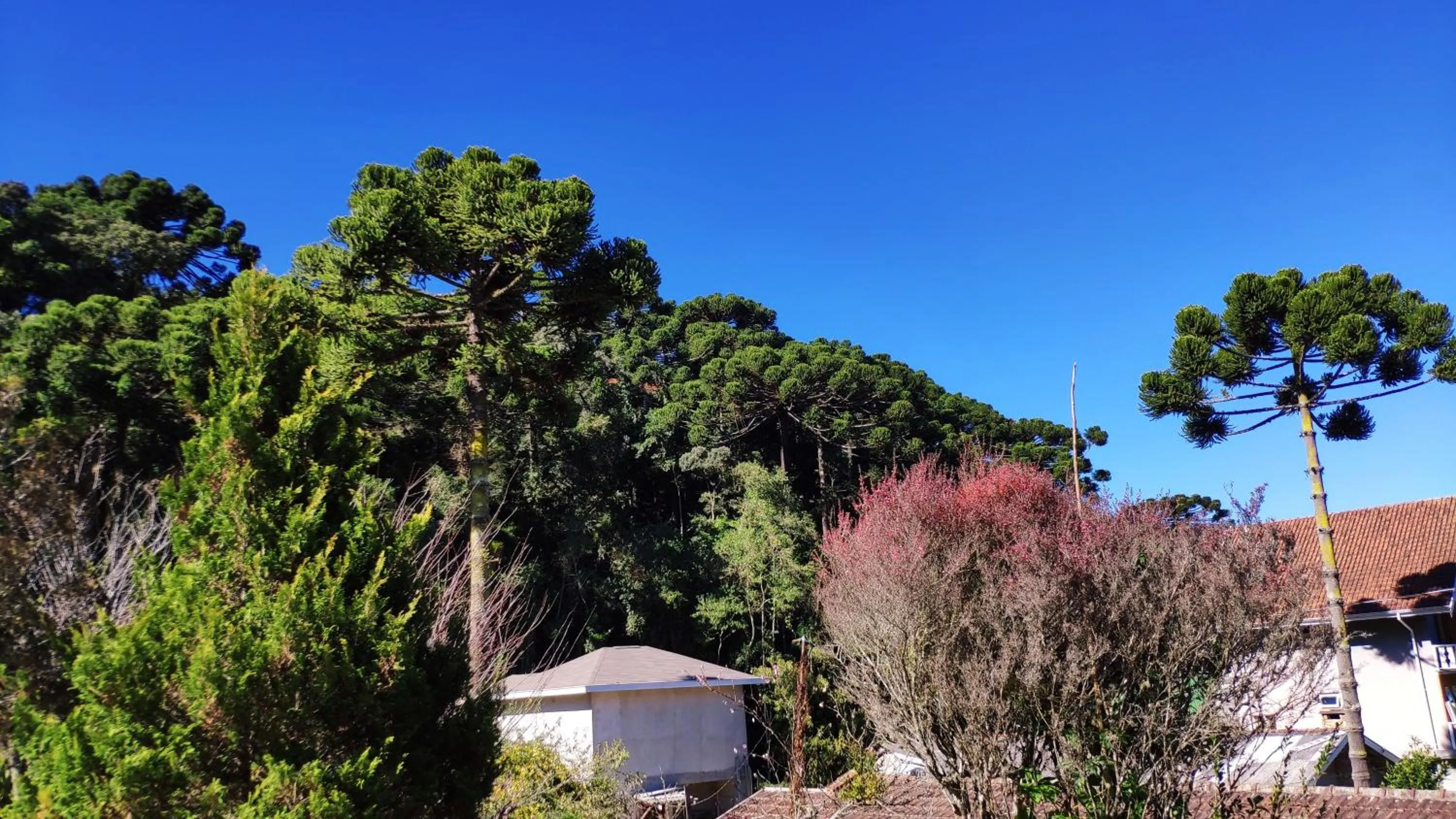 Natural landscape in Pousada Recanto Feliz