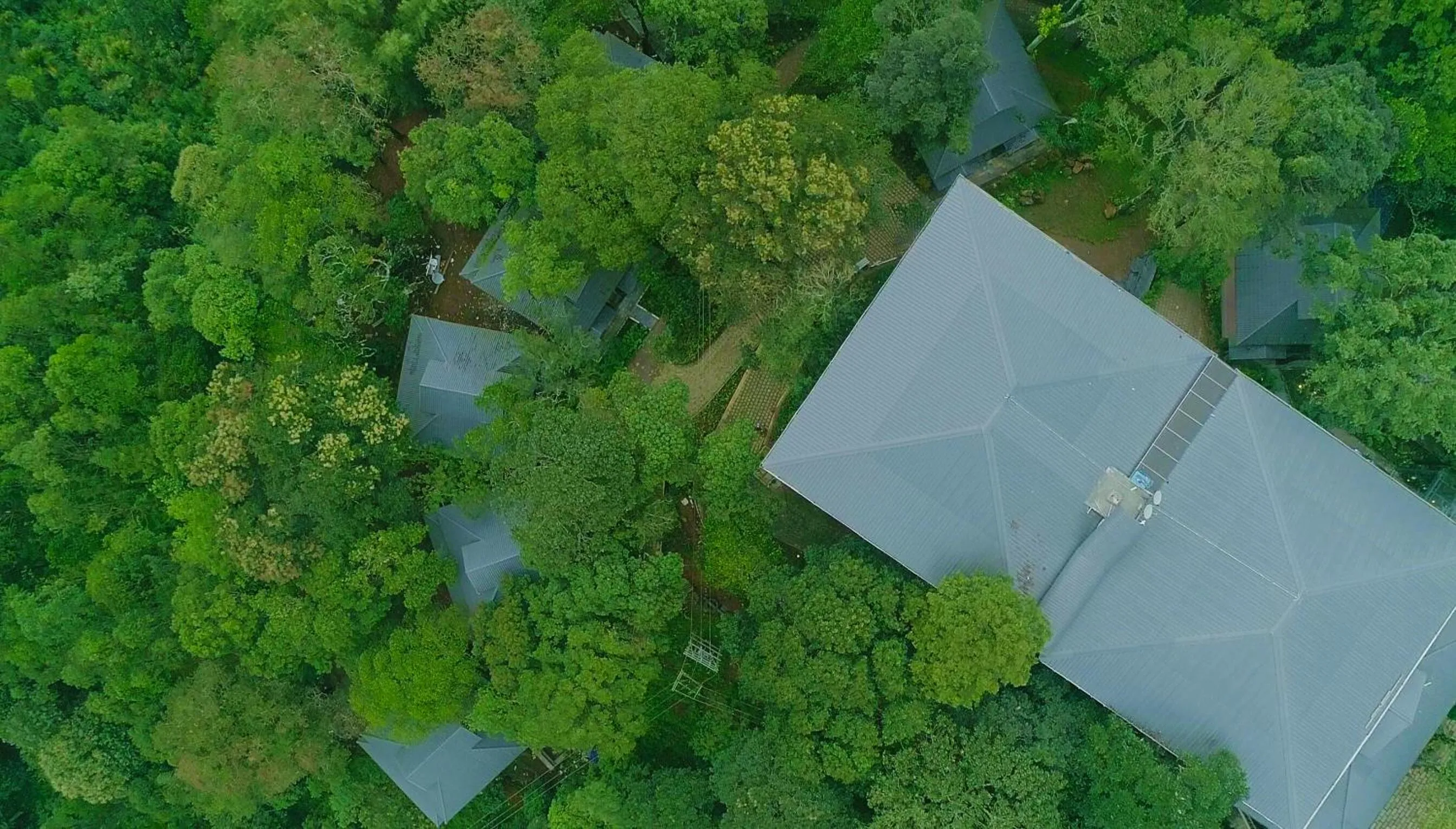 Bird's eye view in Elephant Passage