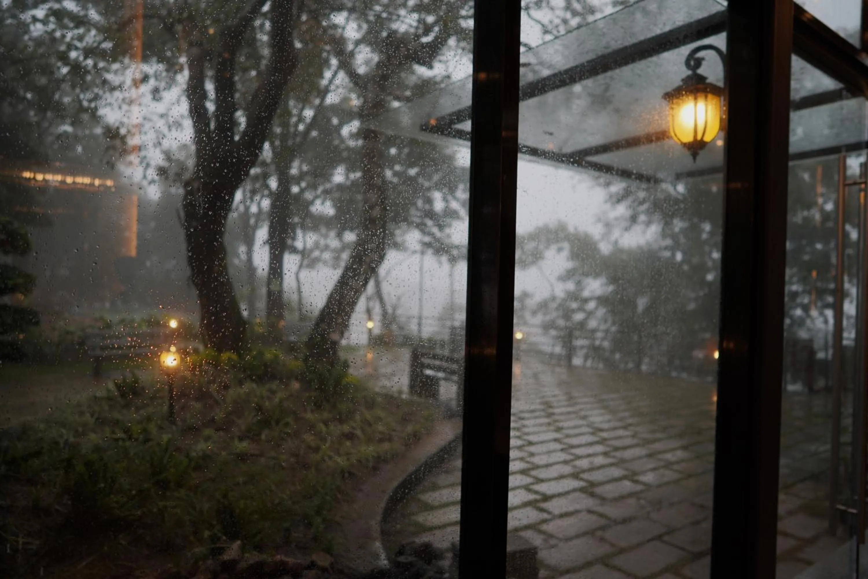 View (from property/room) in Elephant Passage