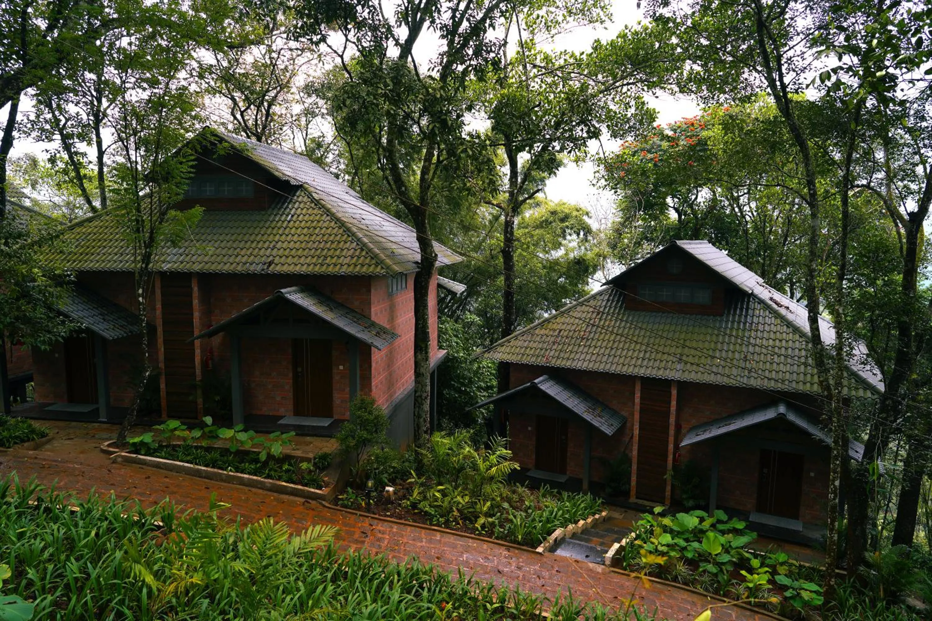 Property building in Elephant Passage