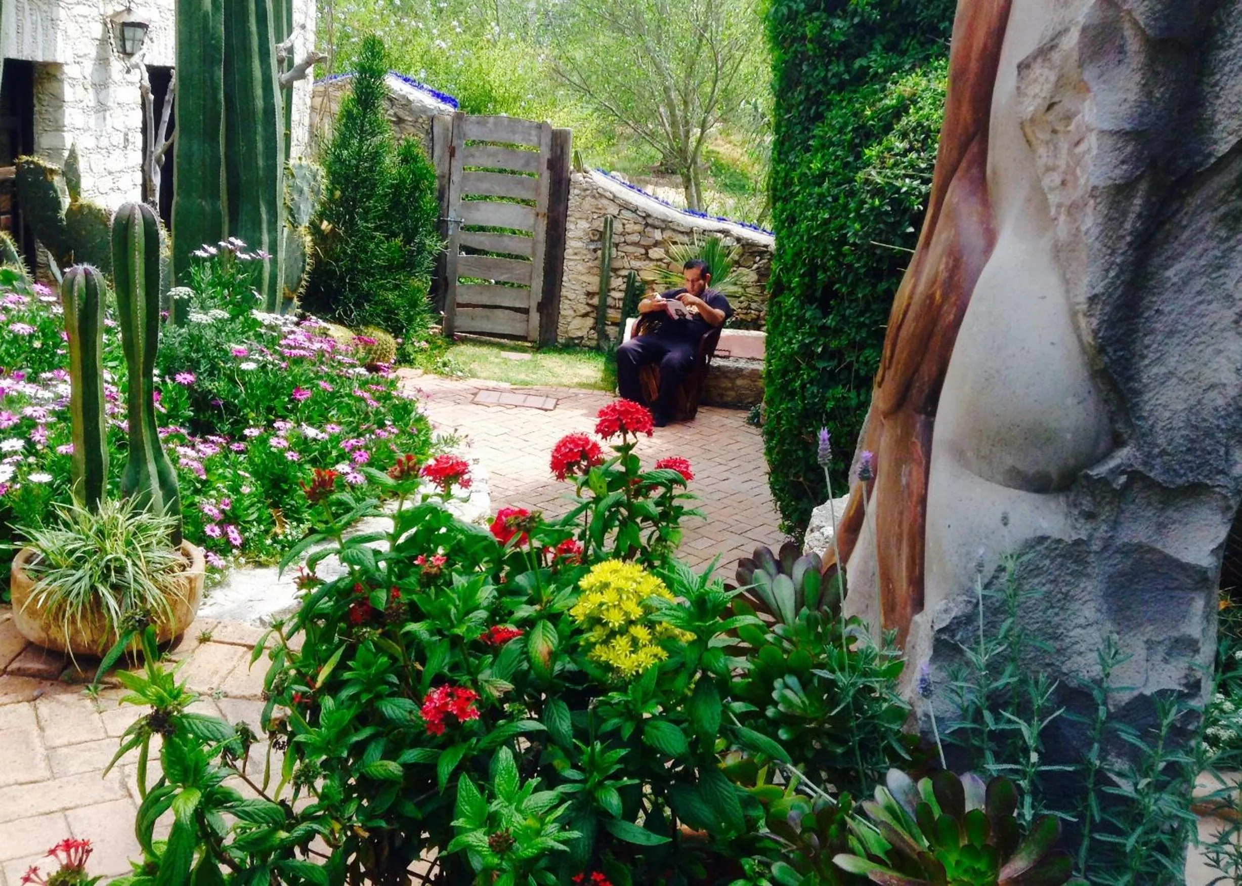 Garden in Hotel Secreto