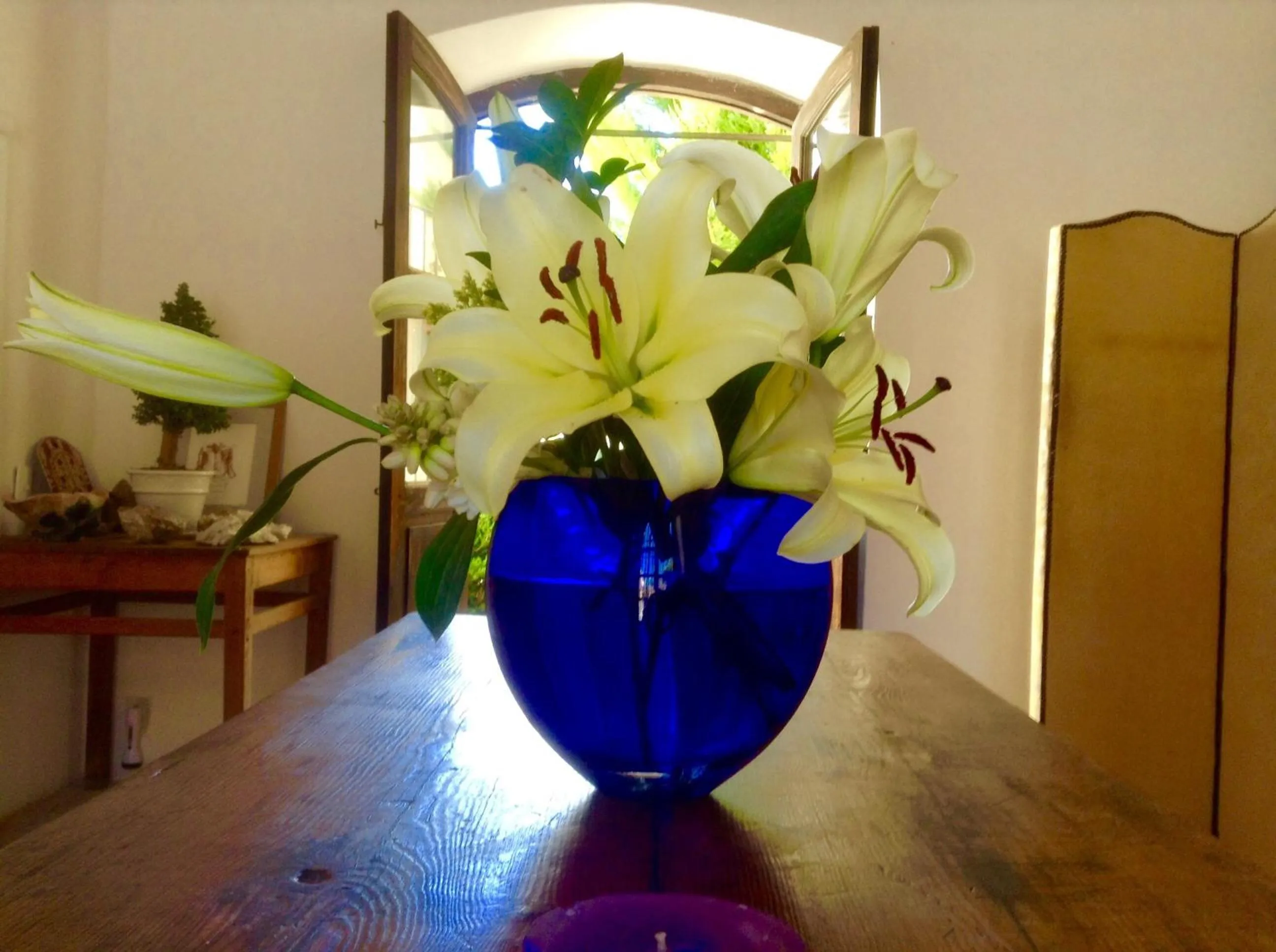 Decorative detail in Hotel Secreto