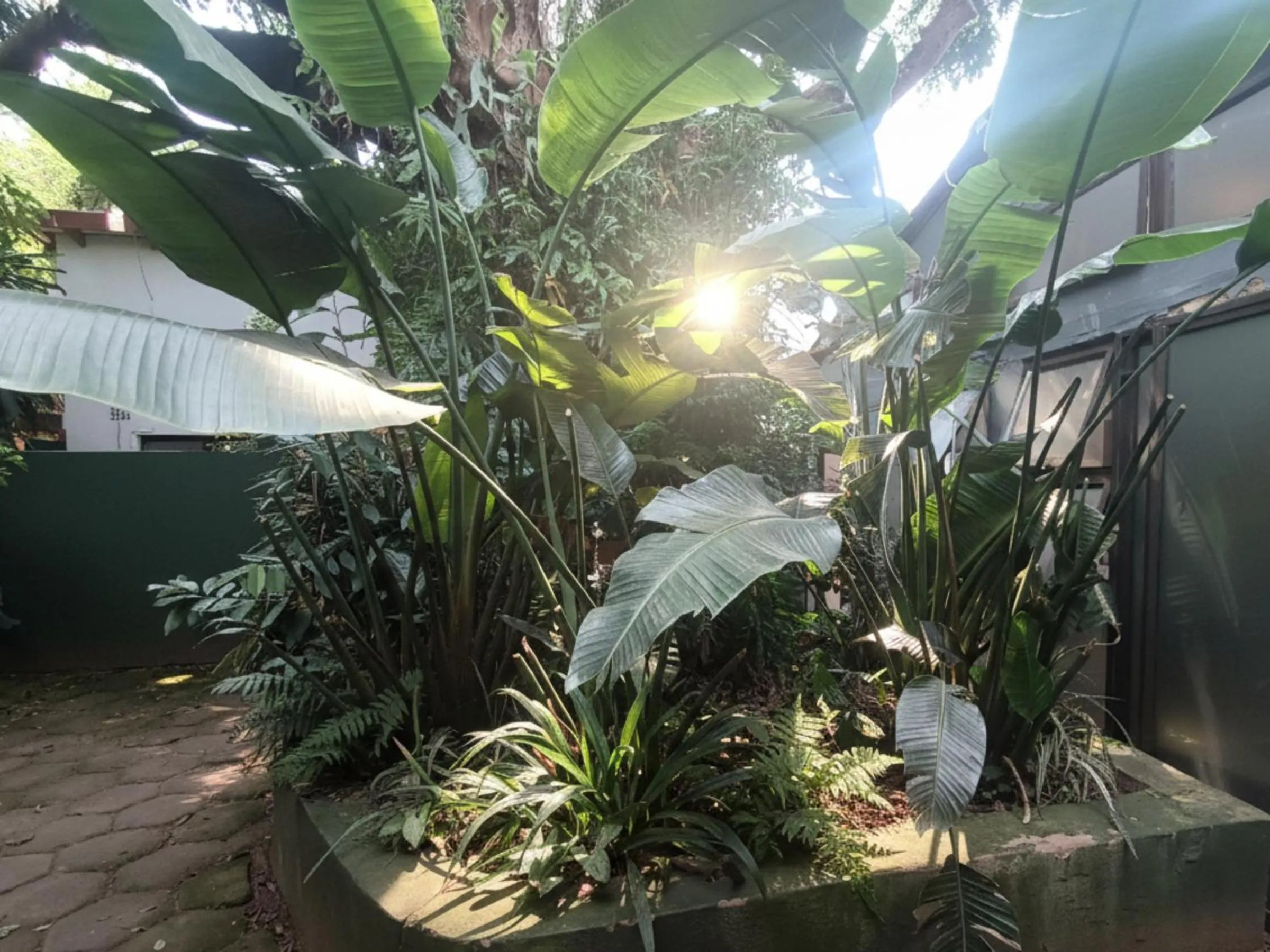 Inner courtyard view in Zur See - No Loadshedding