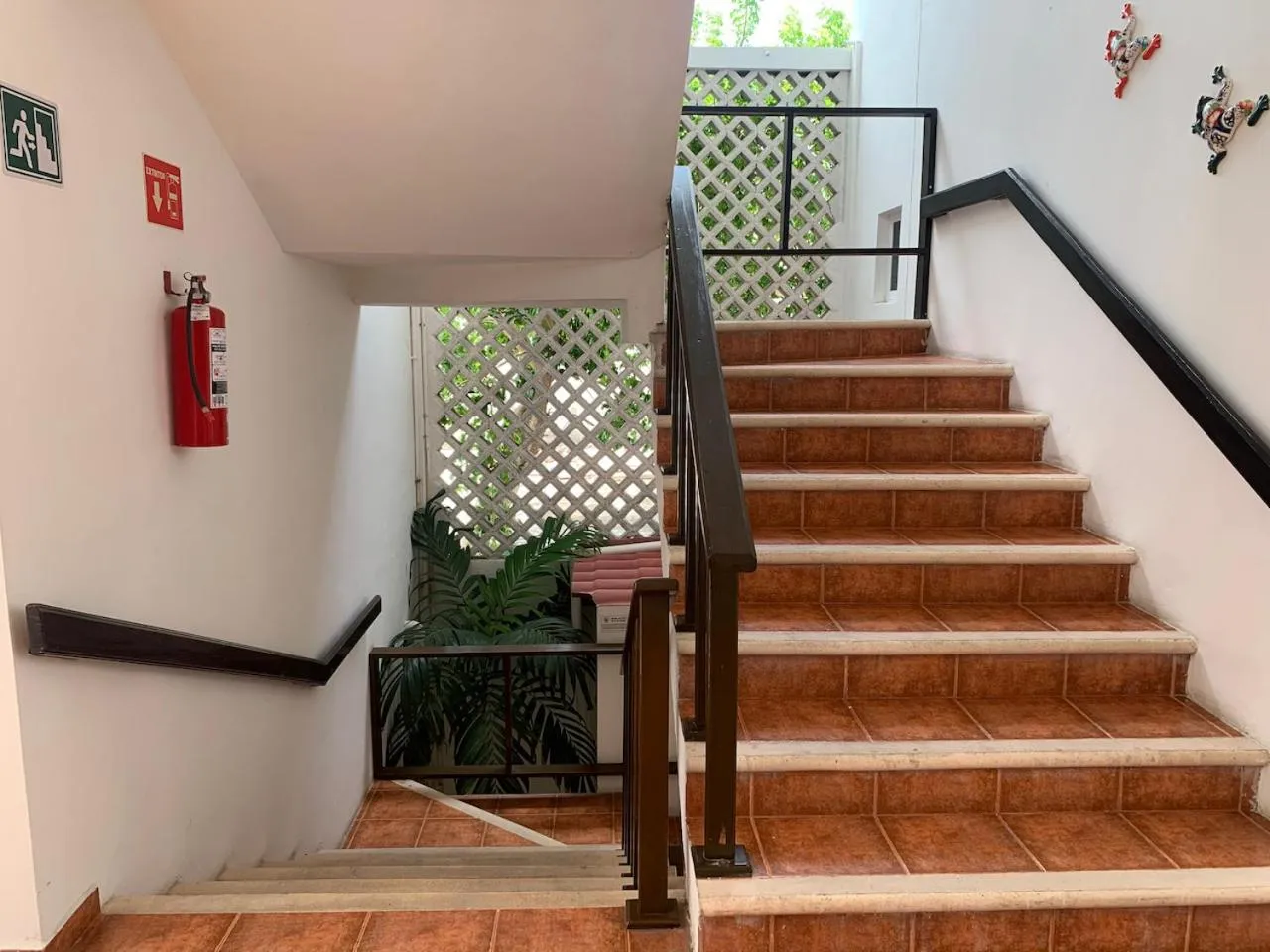 Property building in Xbulu-Ha