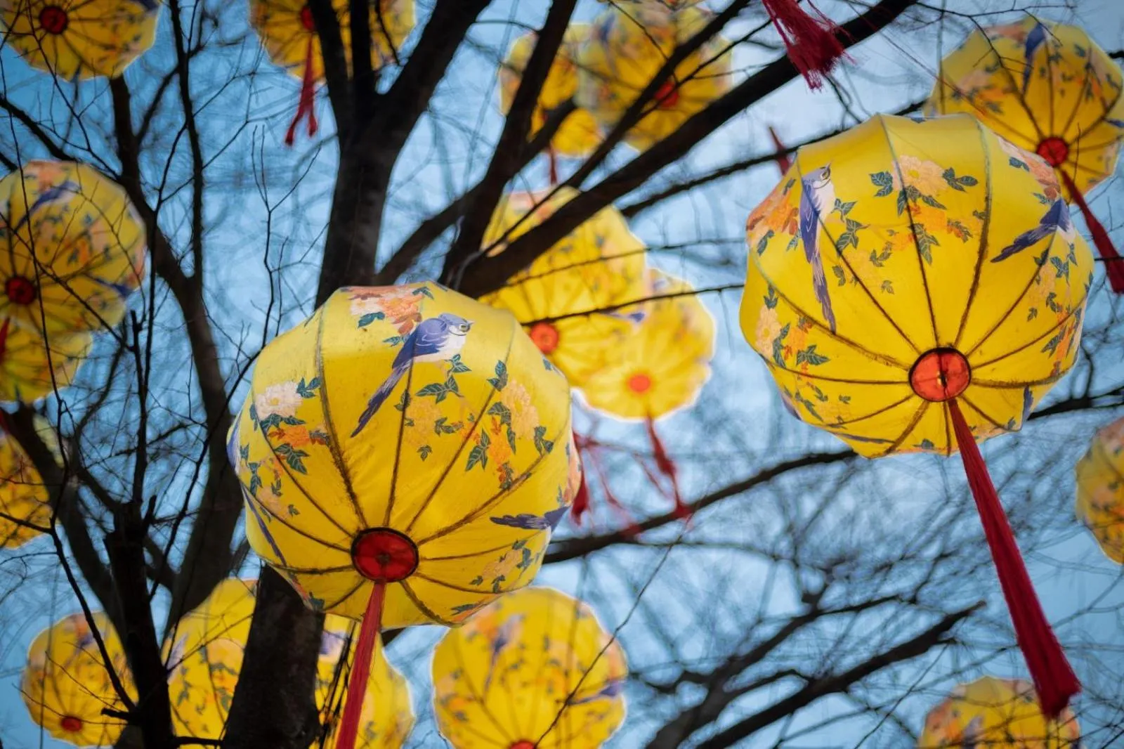 Other in Floral Yilanxuan Zhouzhuang Hotel