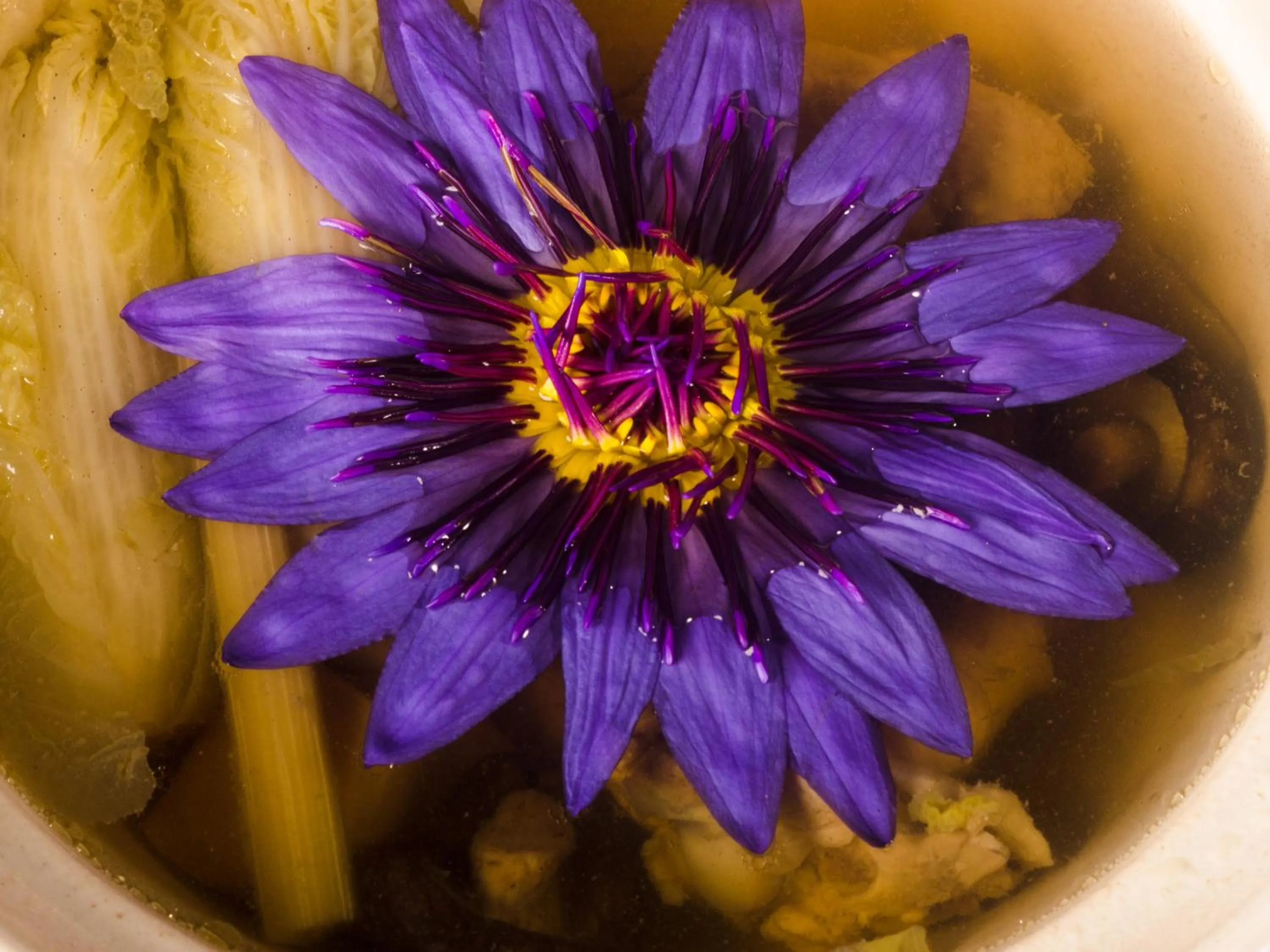 Decorative detail in Hofi Villa