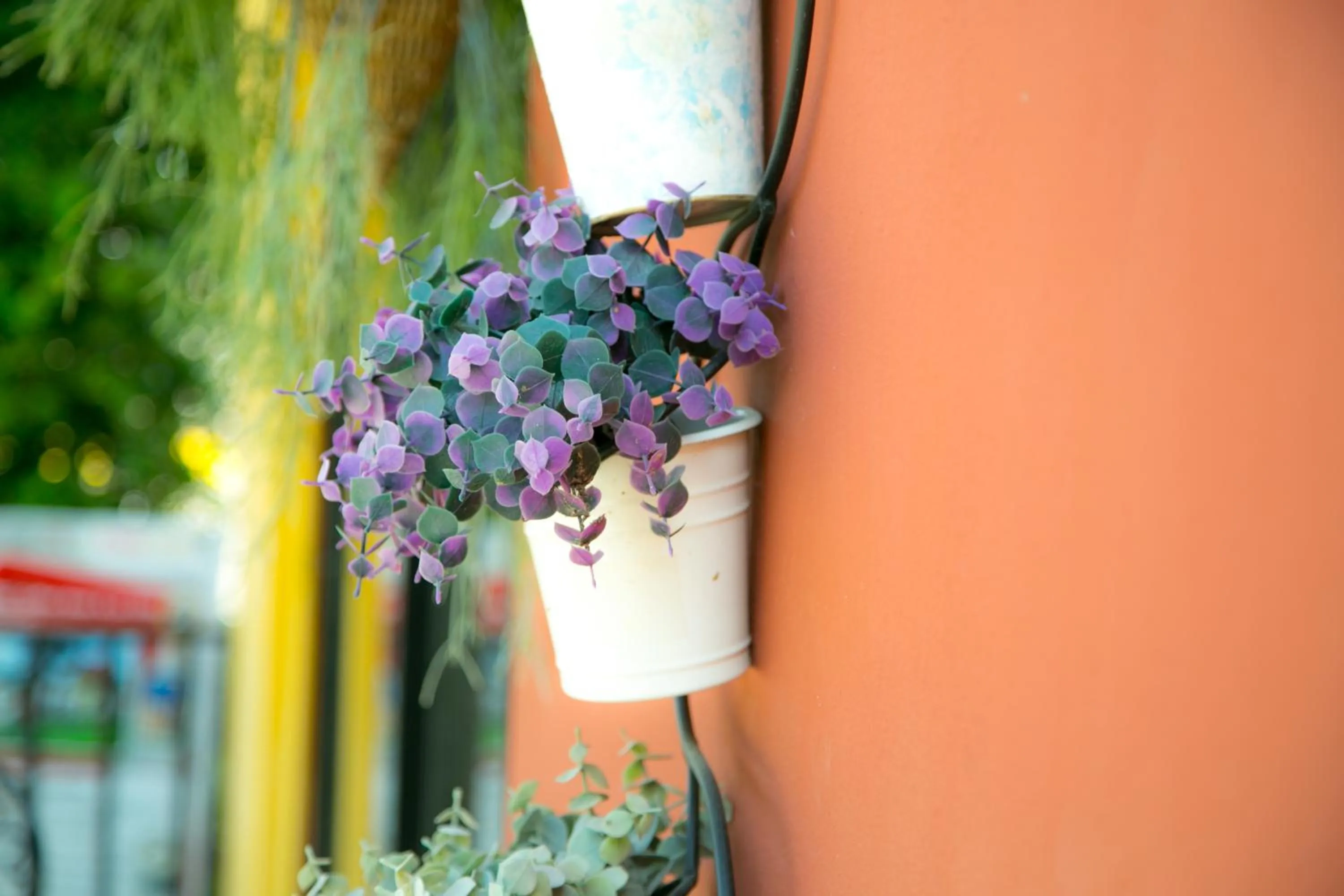 Garden in La Villa Boutique hotel