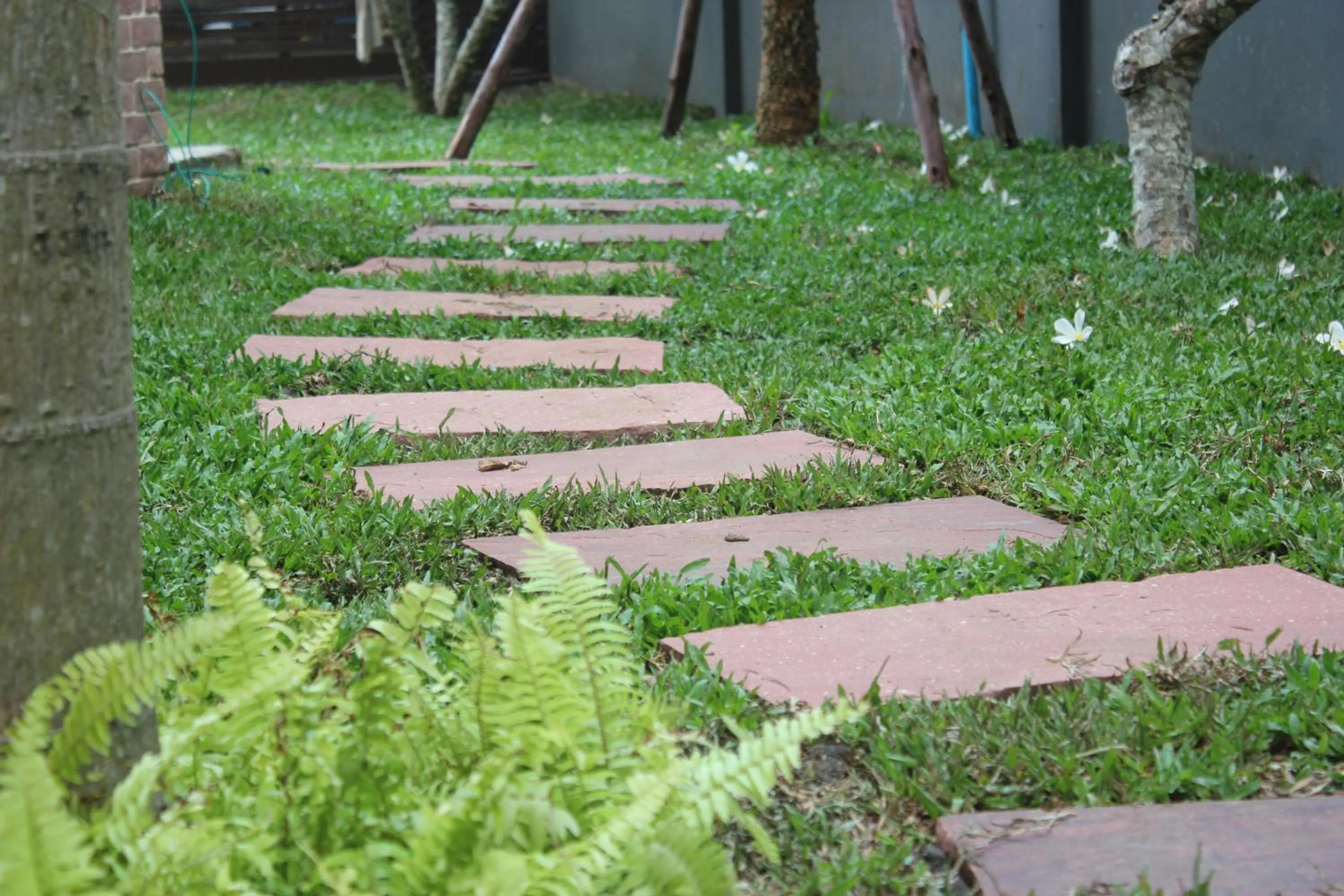 Garden in La Villa Boutique hotel