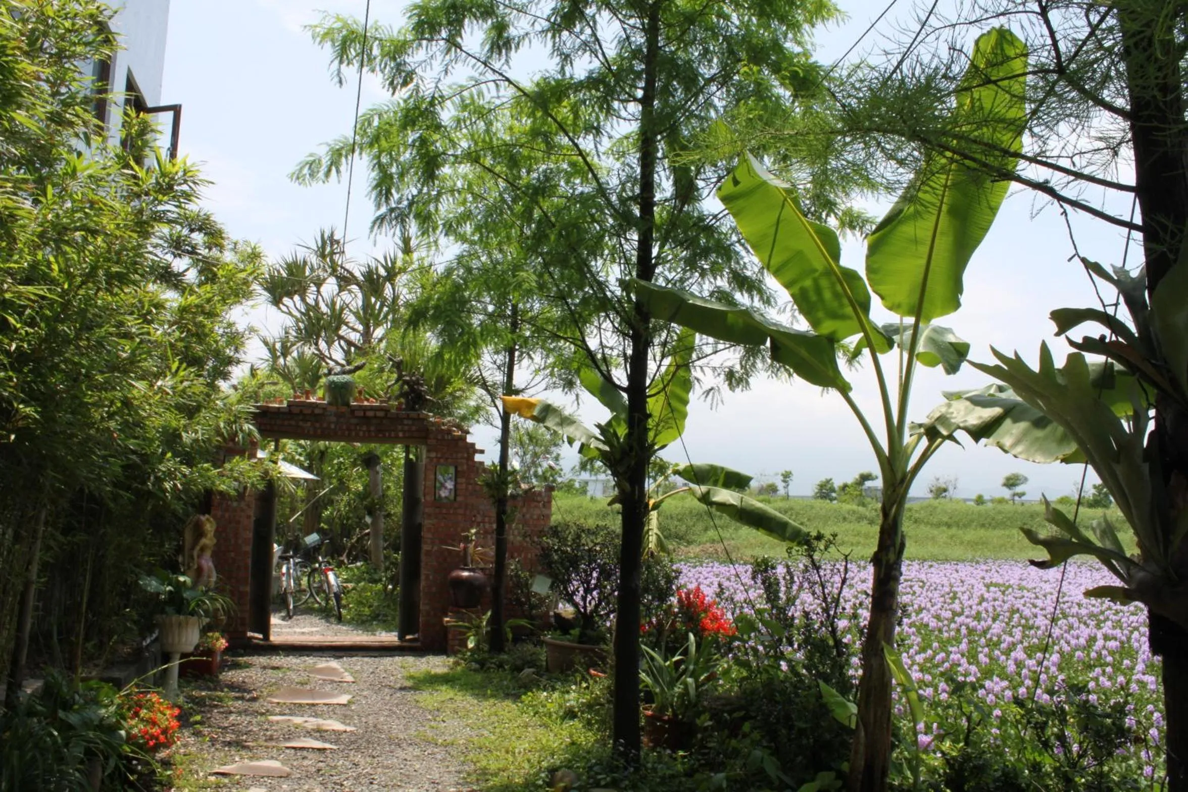 Garden in Beautiful Yilan Resort
