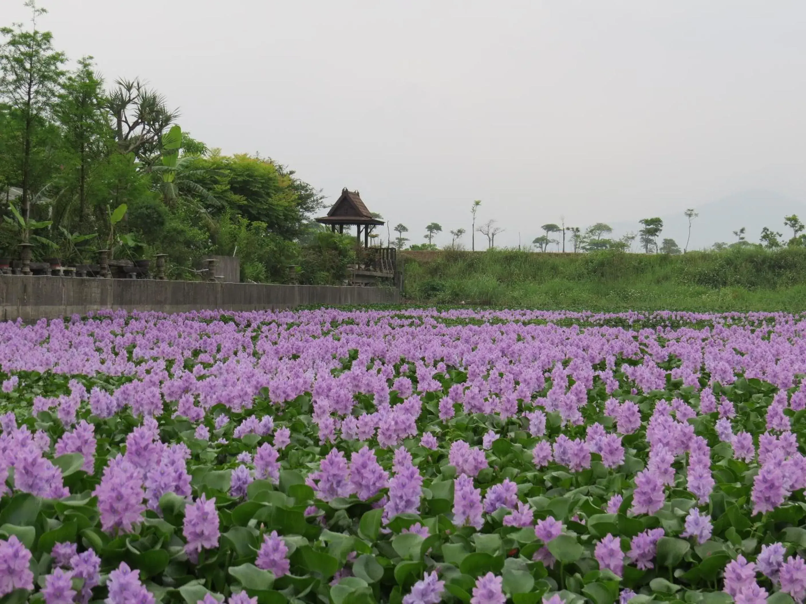 Property building in Beautiful Yilan Resort Property building in Beautiful Yilan Resort