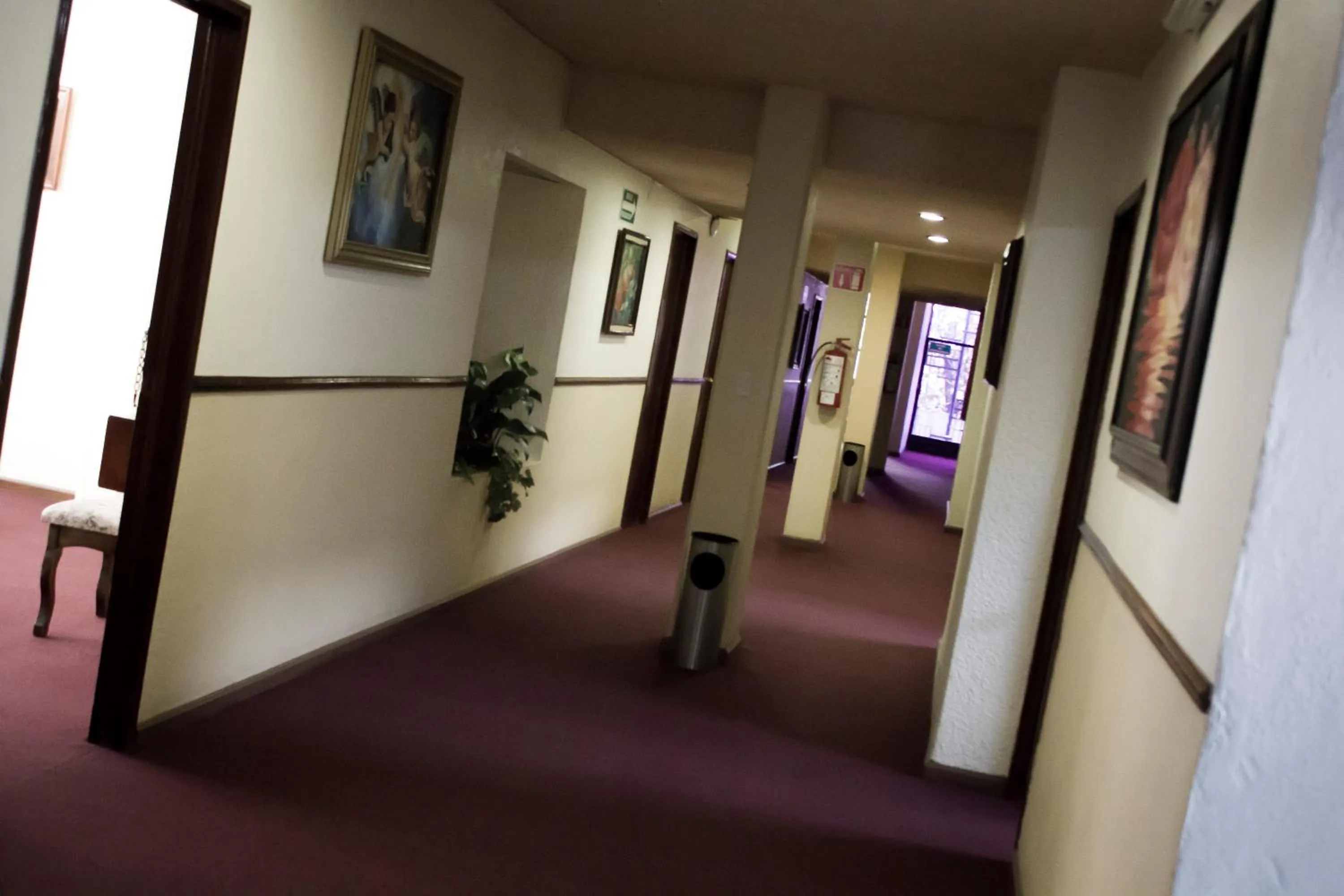 Property building in HOTEL ROMO