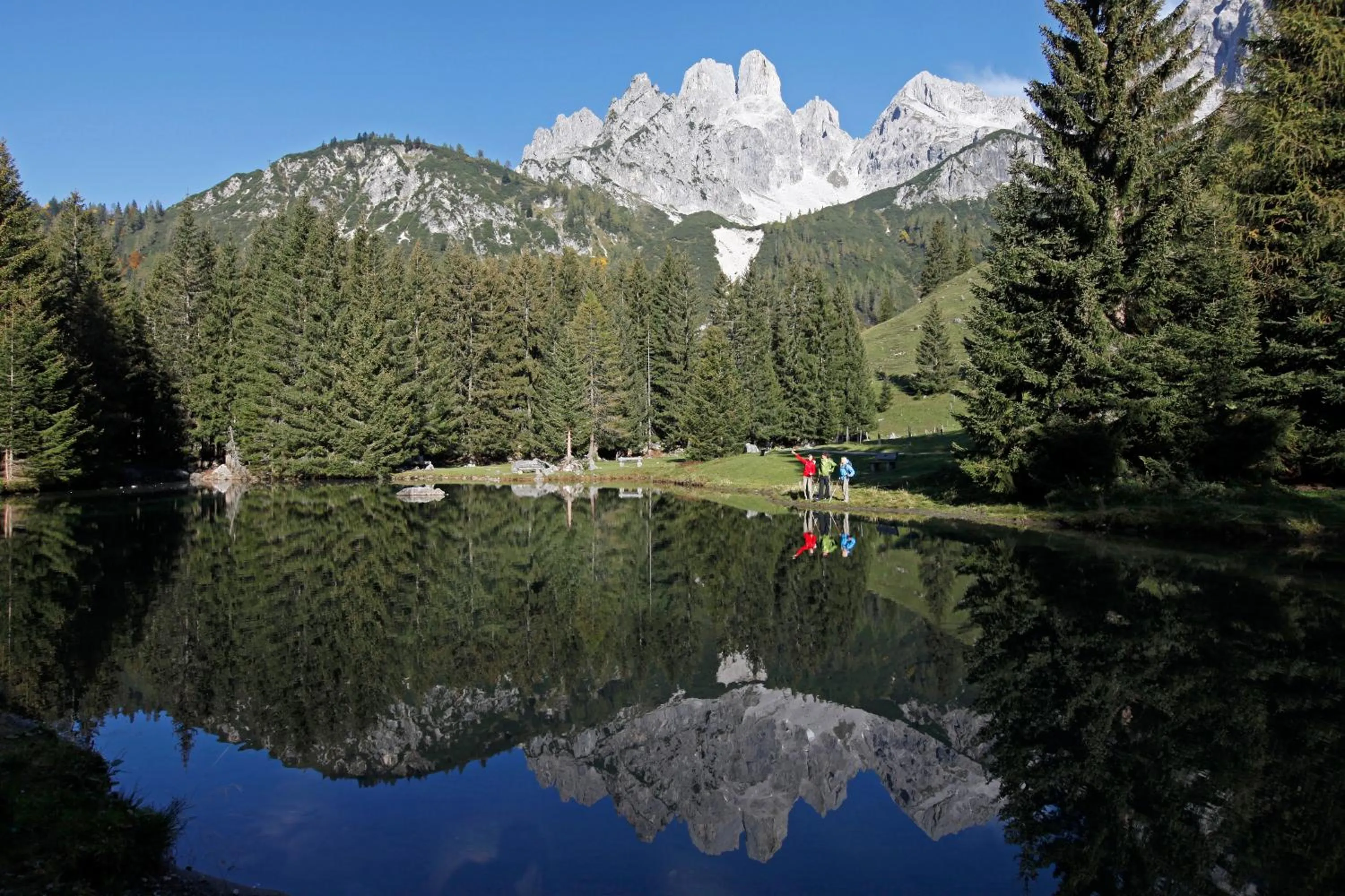 Natural landscape in Hotel Dachstein