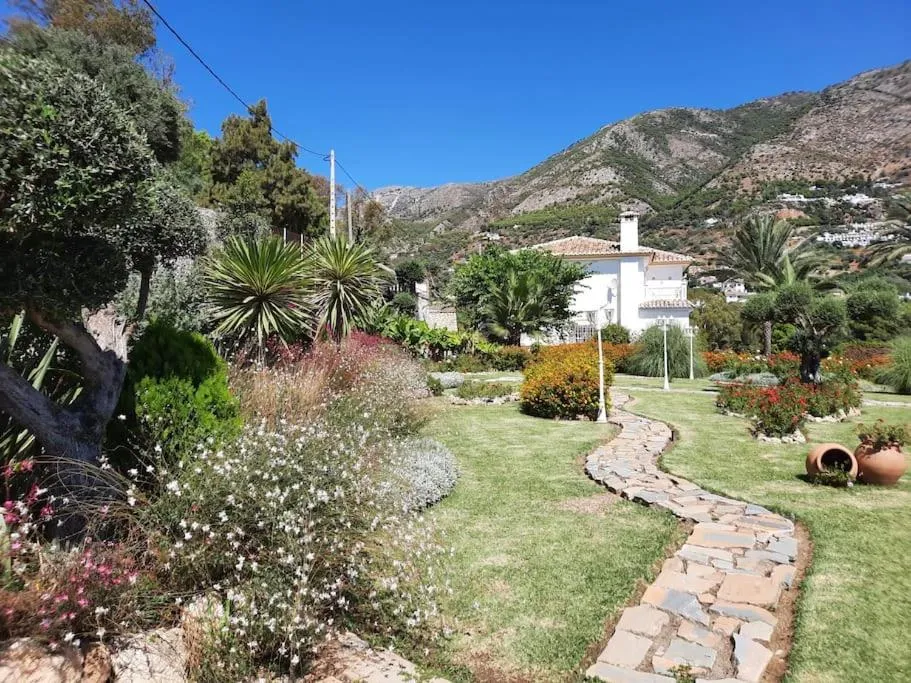 Garden in Villa Puerto de la Luz