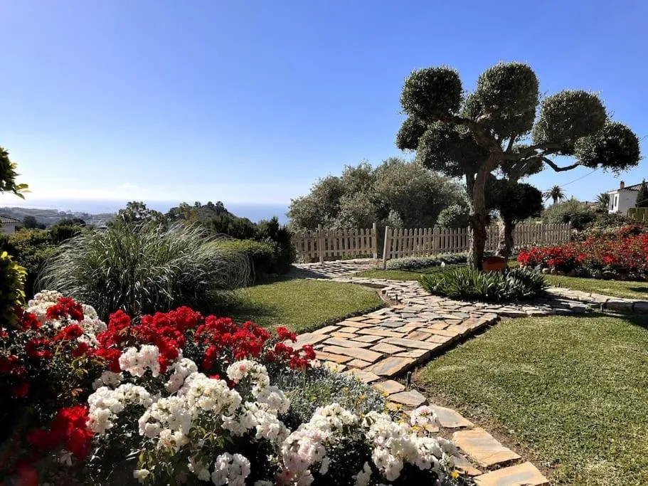 Garden in Villa Puerto de la Luz