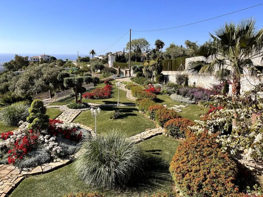 Garden in Villa Puerto de la Luz