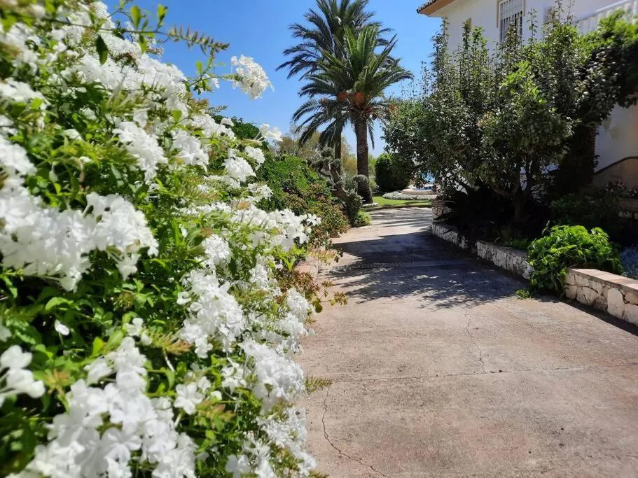 Garden in Villa Puerto de la Luz