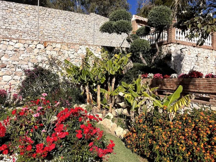 Spring in Villa Puerto de la Luz