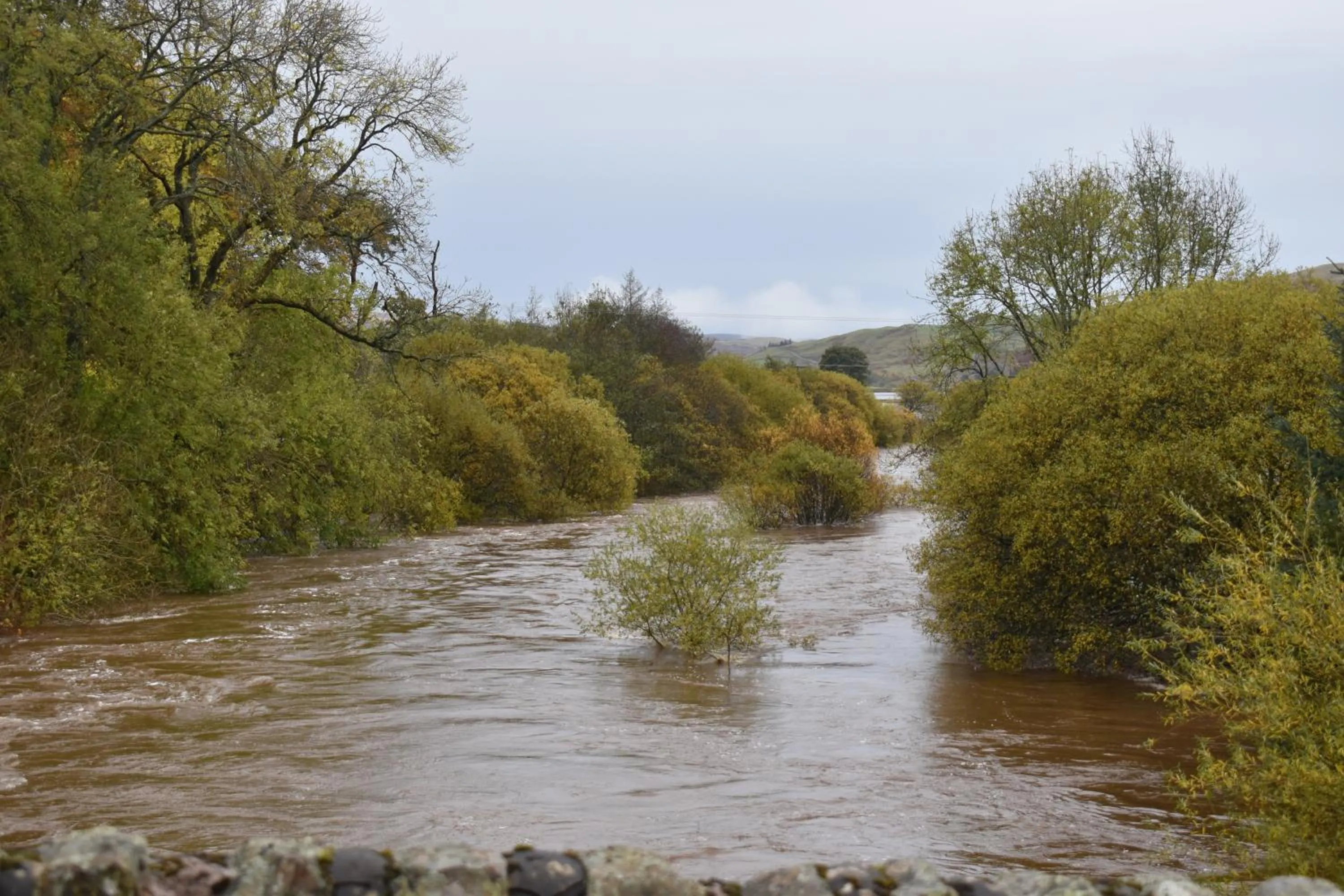 Natural landscape in The Tushielaw Inn