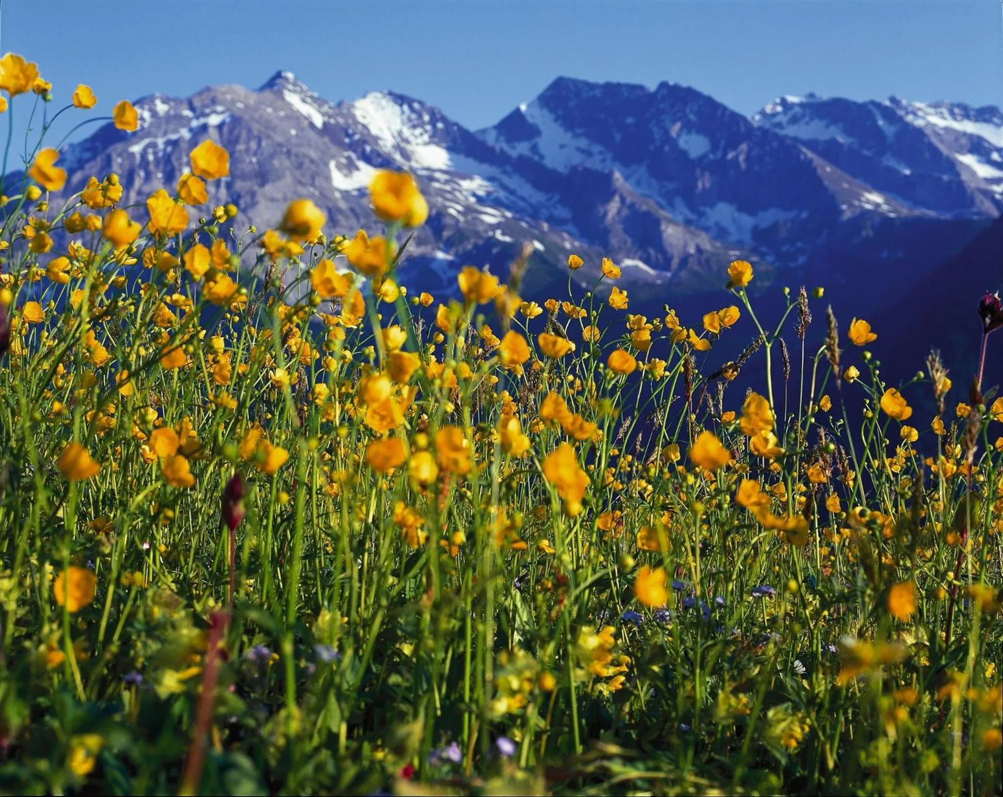 Area and facilities in Hotel Finkenbergerhof