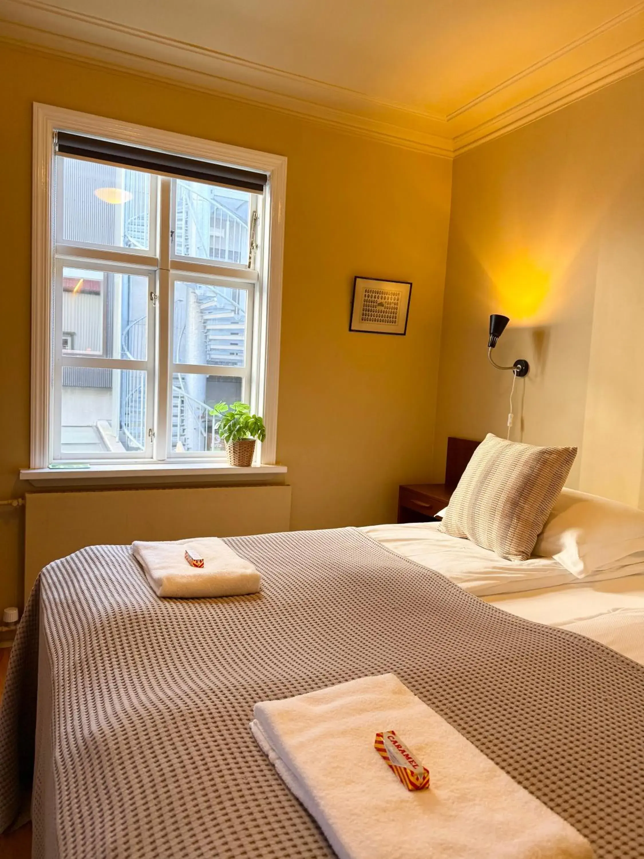 Bed in Grettir Guesthouse Downtown Charm Bed in Grettir Guesthouse Downtown Charm