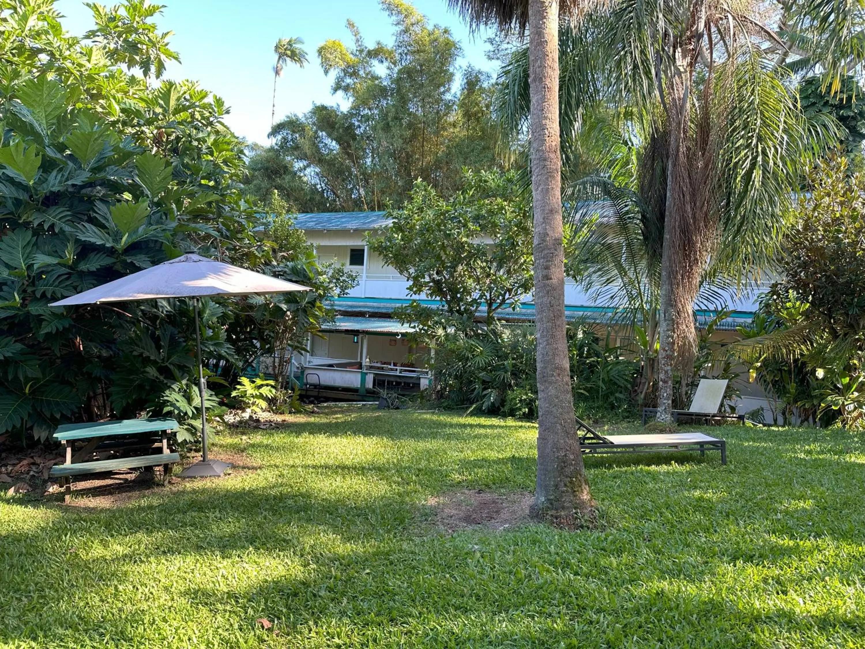 Garden in Wild Ginger Hotel